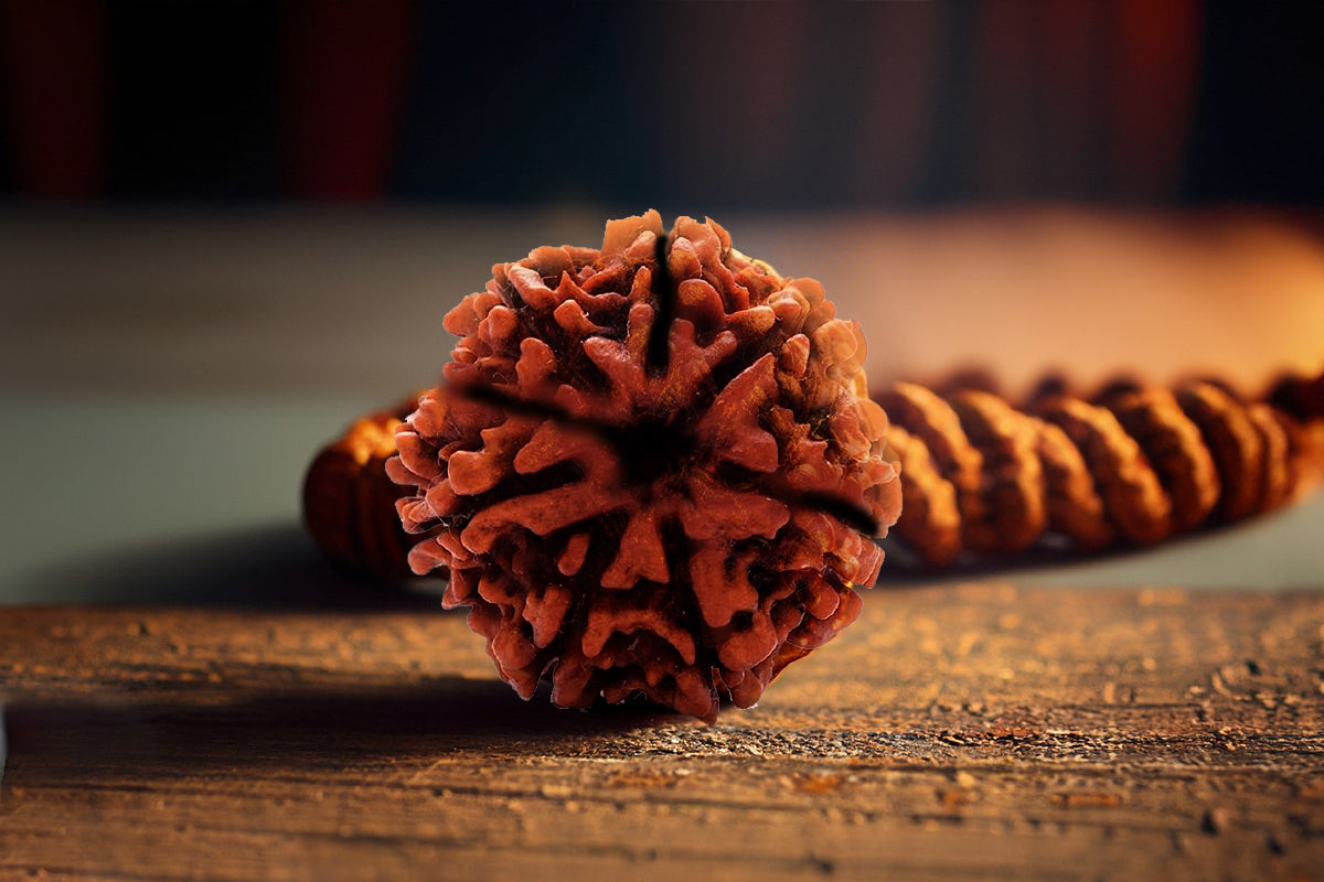 The Sacred Power of Rudraksha: Benefits, Types & How to Wear Them