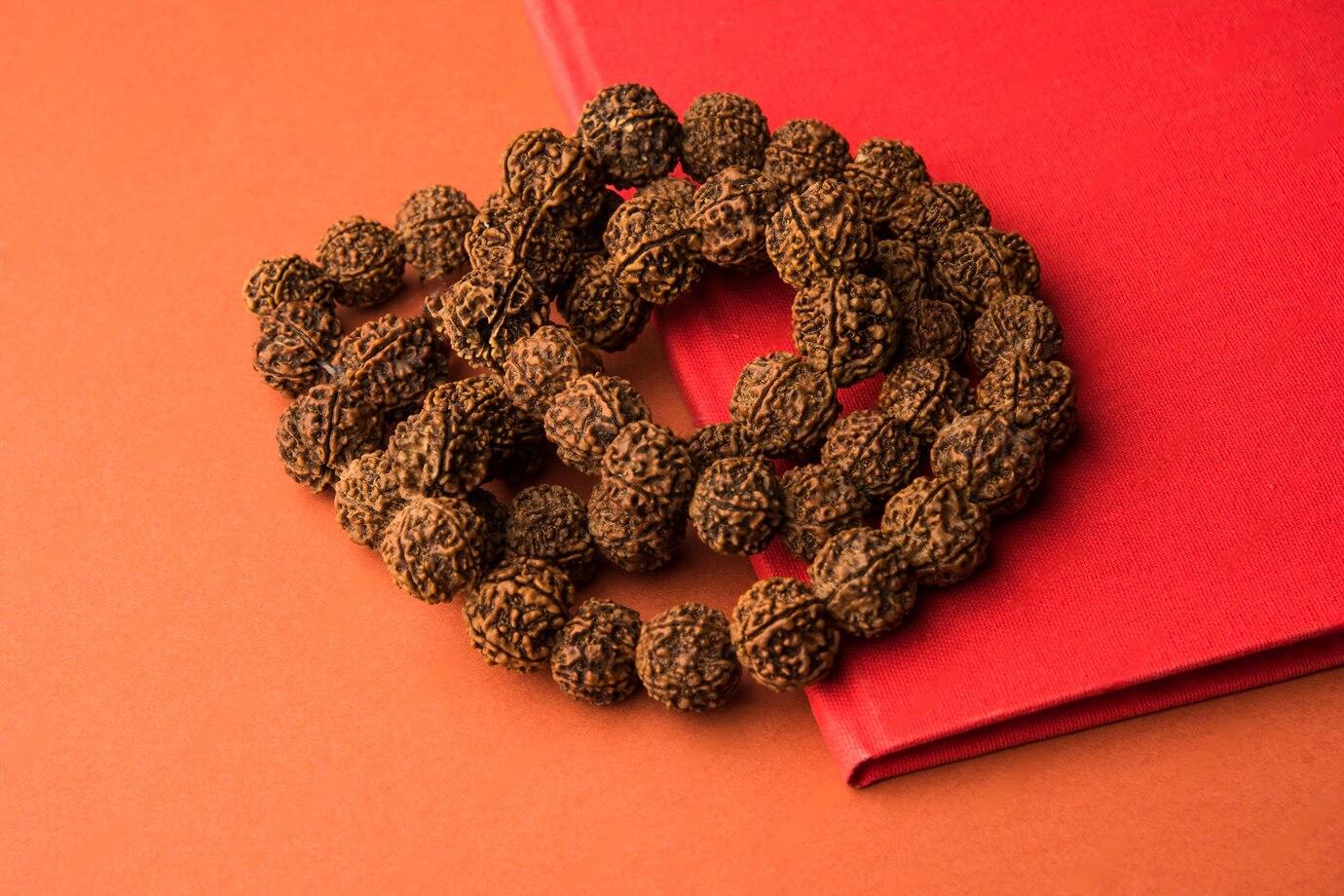 Best Rudraksha for Your Zodiac Sign (Rashi) – Divinelane’s Astrological Guide