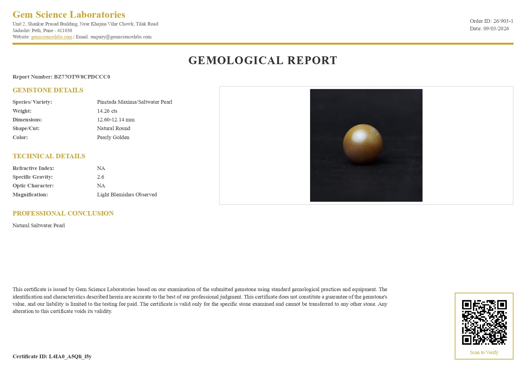 South Sea Pearl - 14.26 Carat