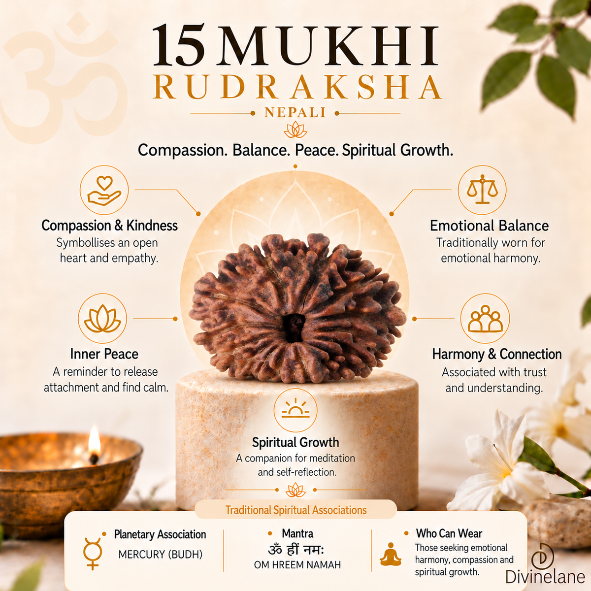 15 Mukhi Rudraksha