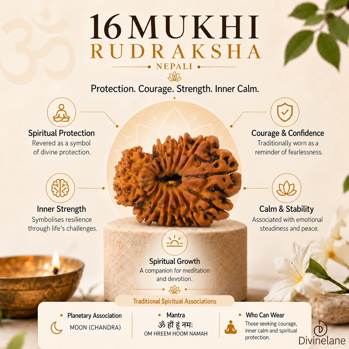 16 Mukhi Rudraksha