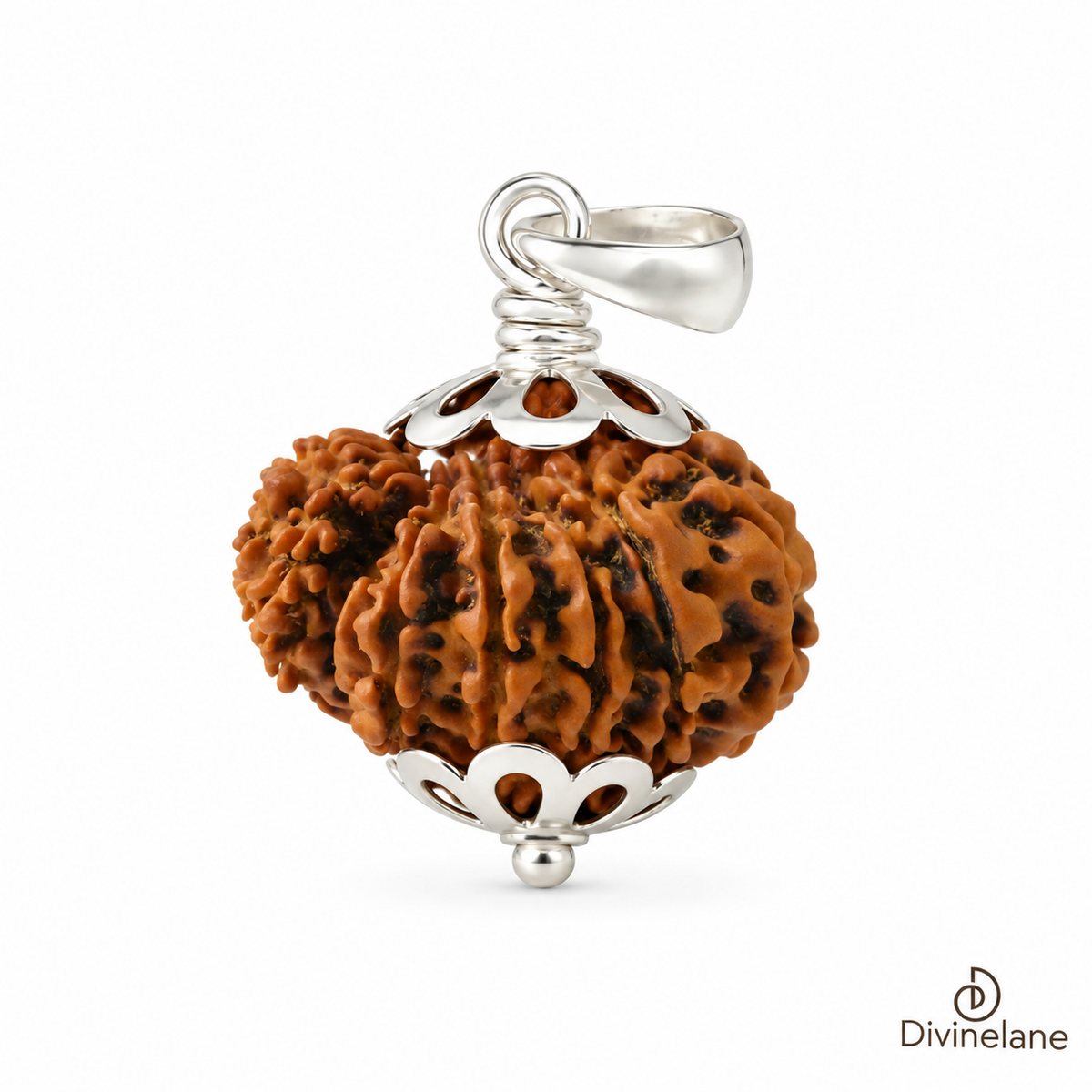 16 Mukhi Rudraksha
