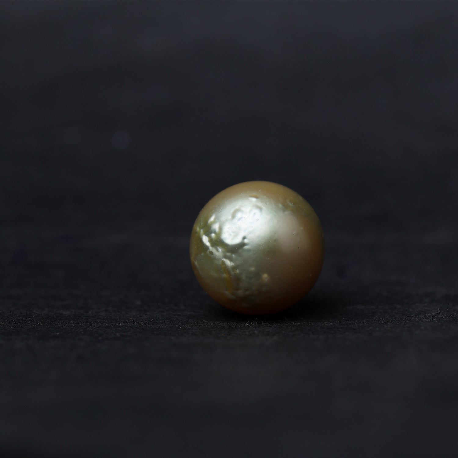 South Sea Pearl - 13.64 Carat