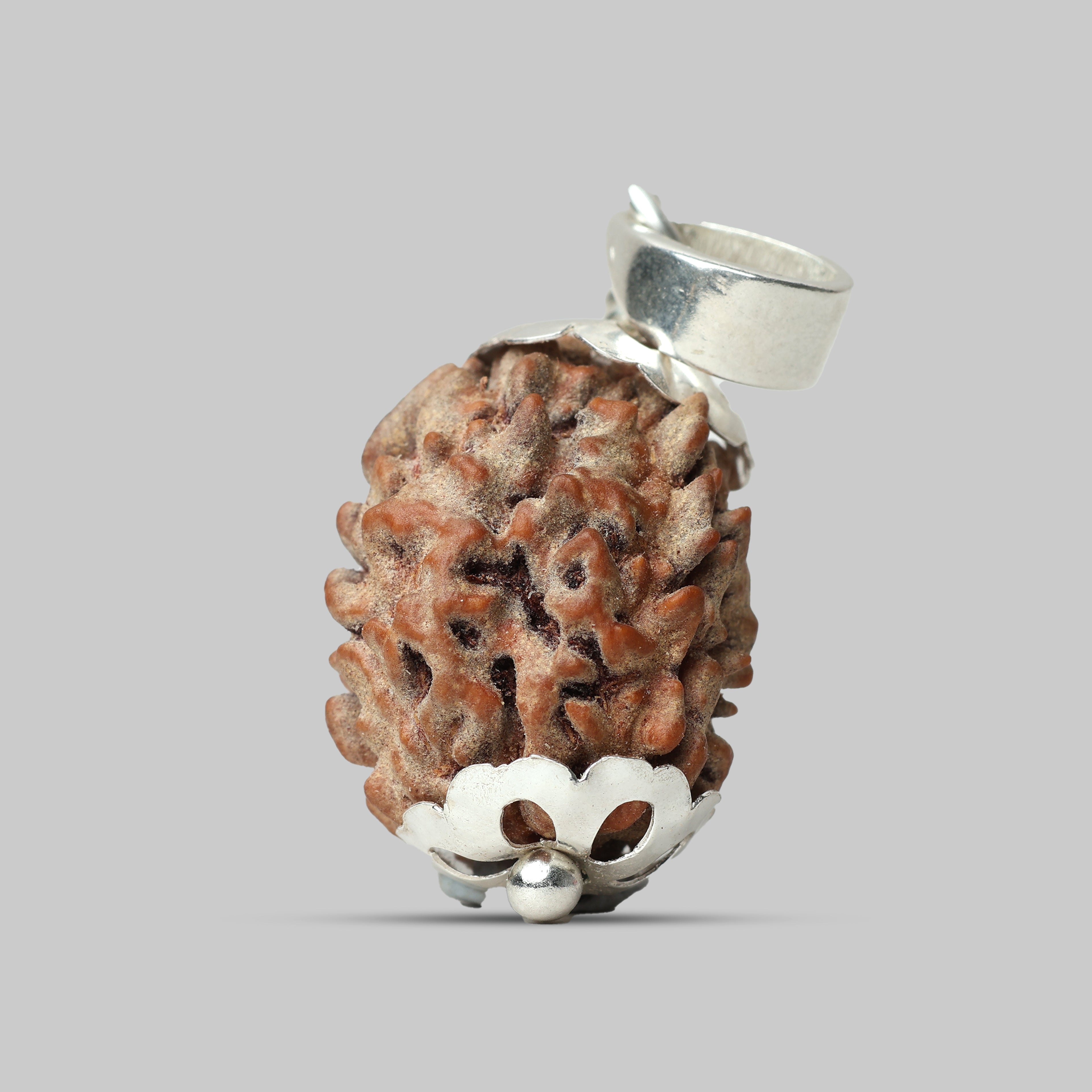 3 Mukhi Rudraksha