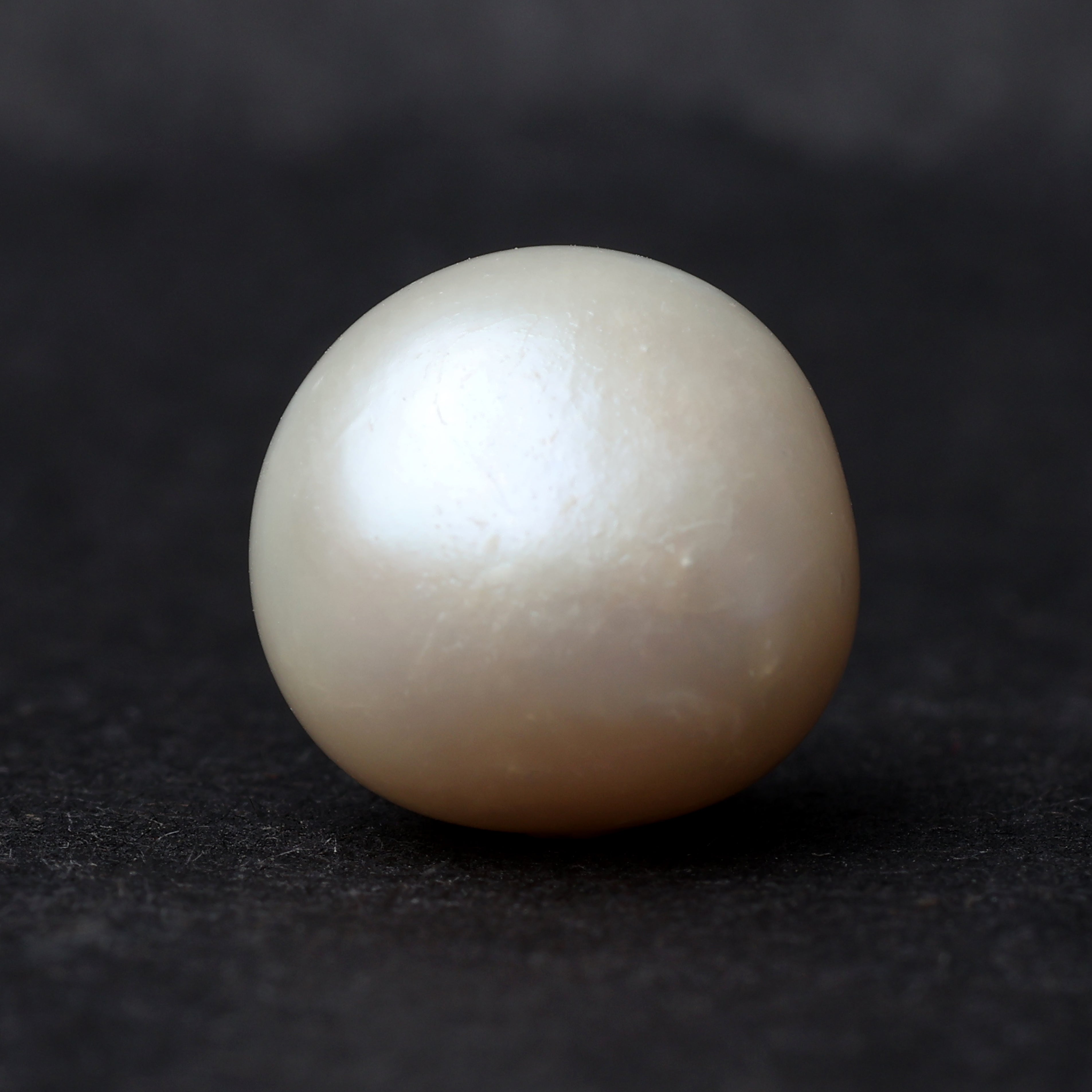 Fresh Water Pearl - 8.25 Carat