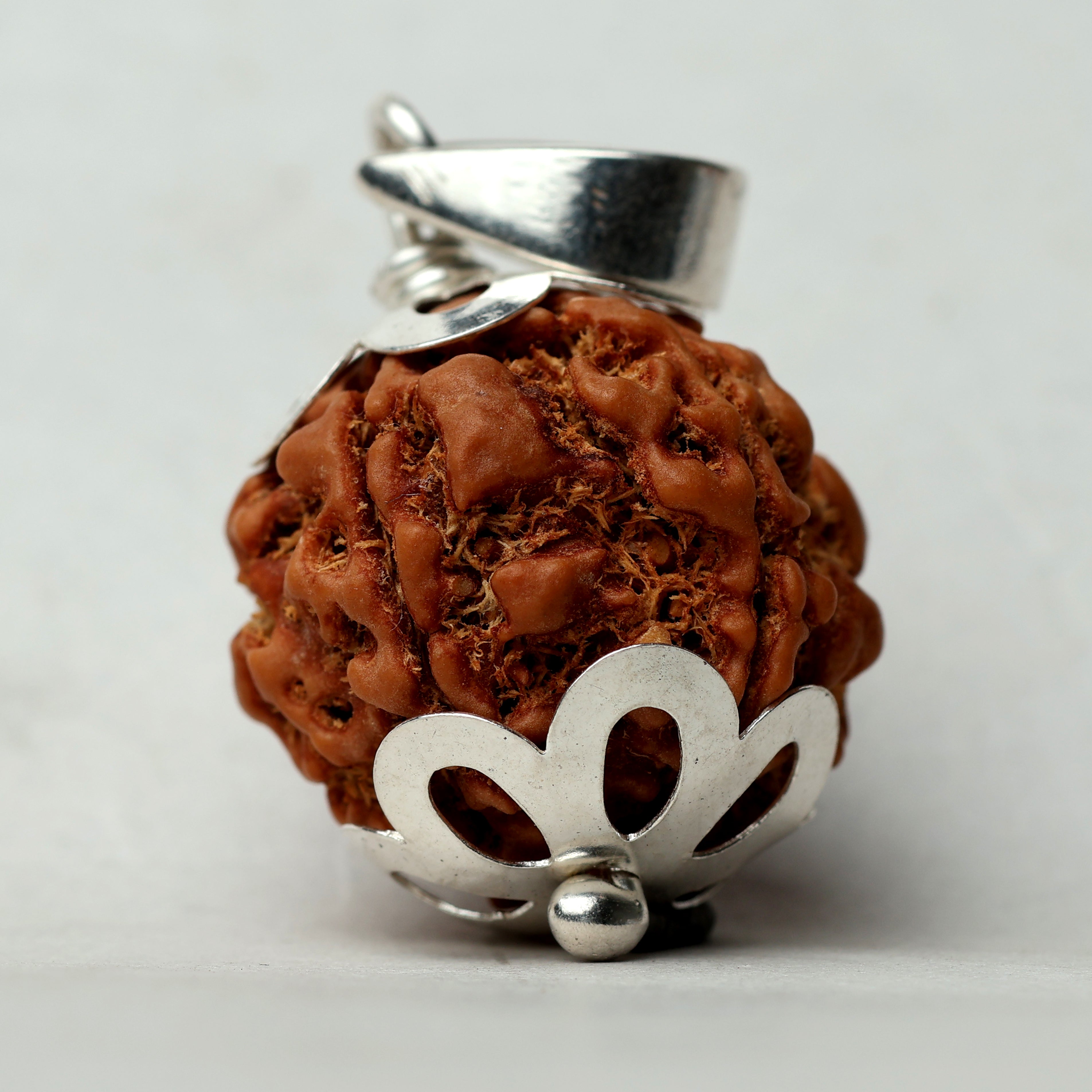 5 Mukhi Rudraksha