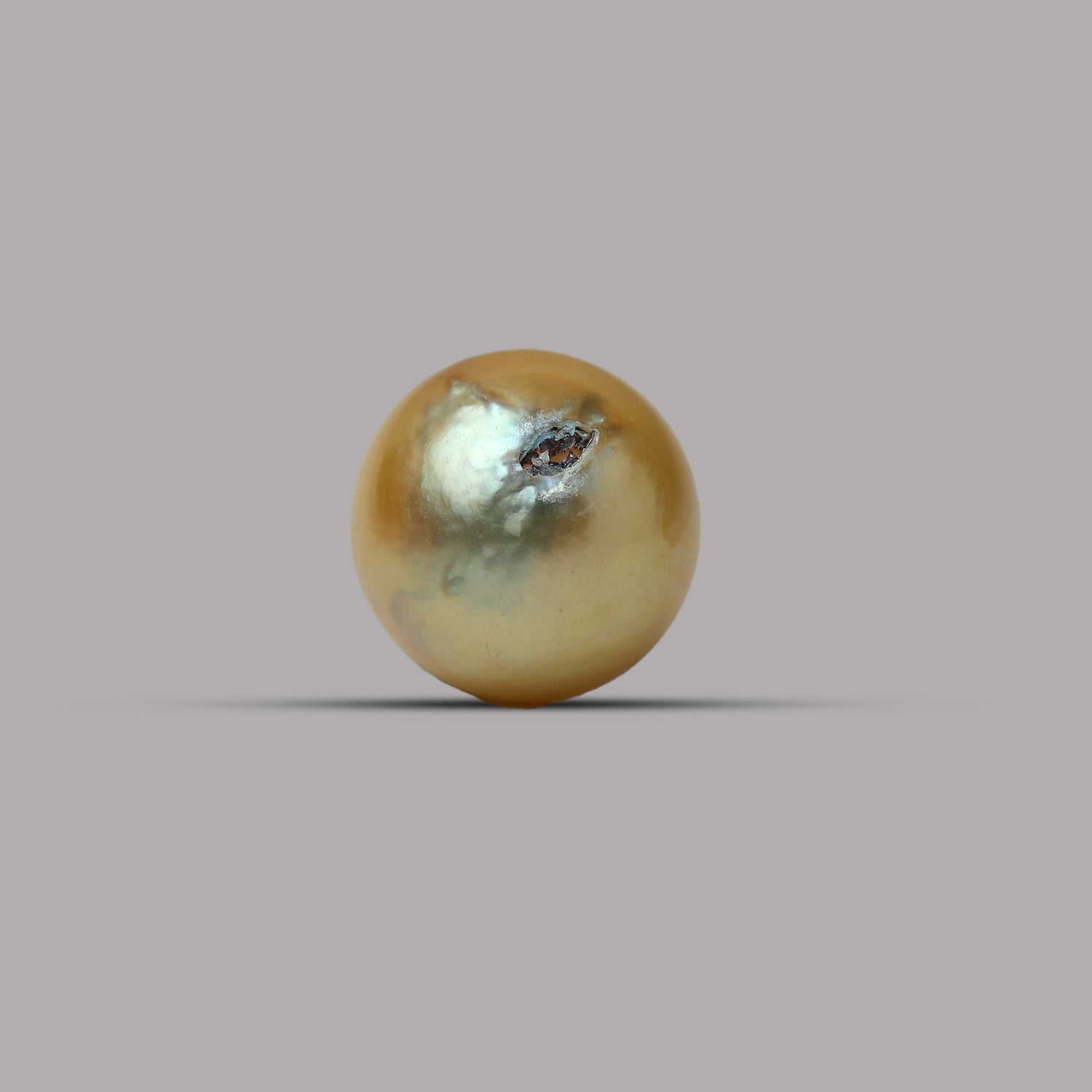 South Sea Pearl - 7.29 Carat
