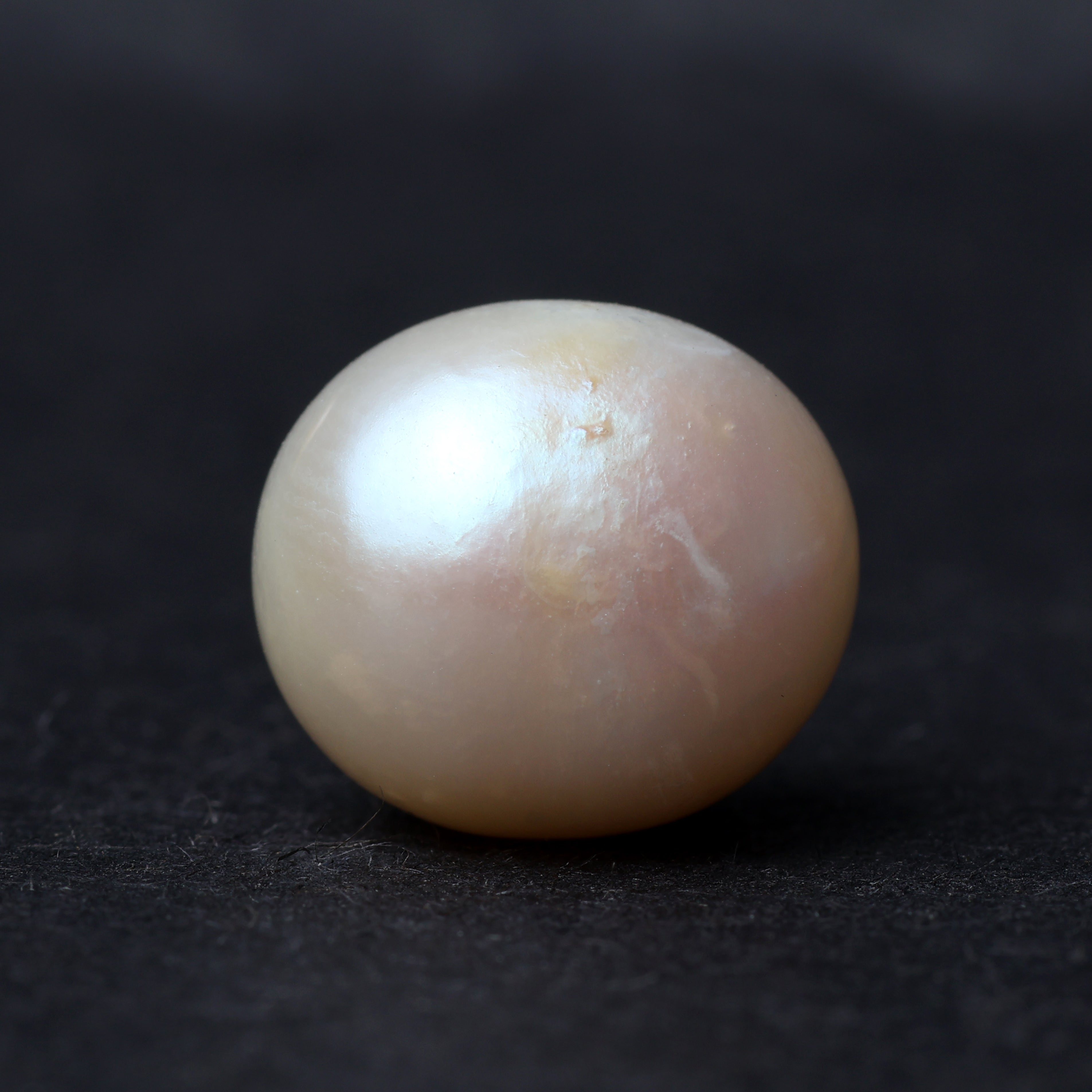 Fresh Water Pearl - 8.83 Carat
