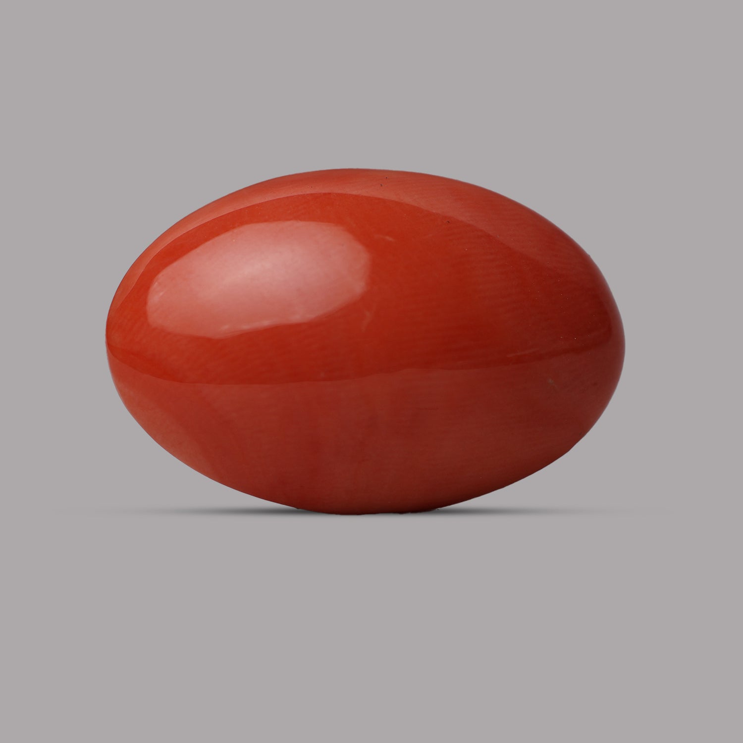 Red Coral - 13.59 Carat