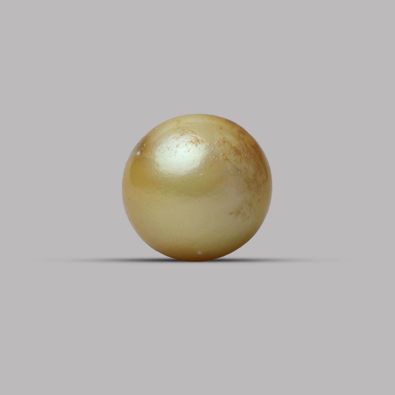 South Sea Pearl - 13.83 Carat