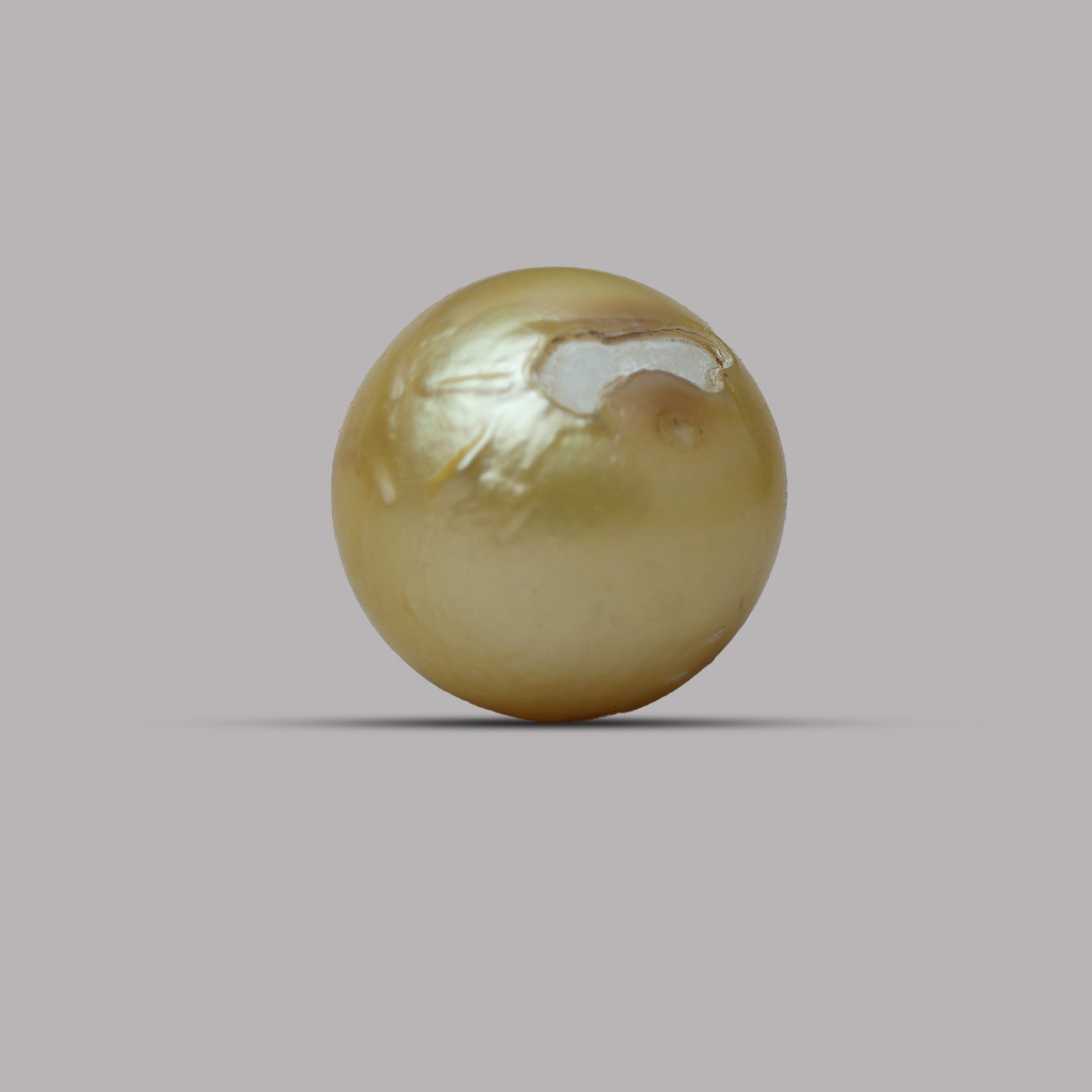 South Sea Pearl - 12.42 Carat