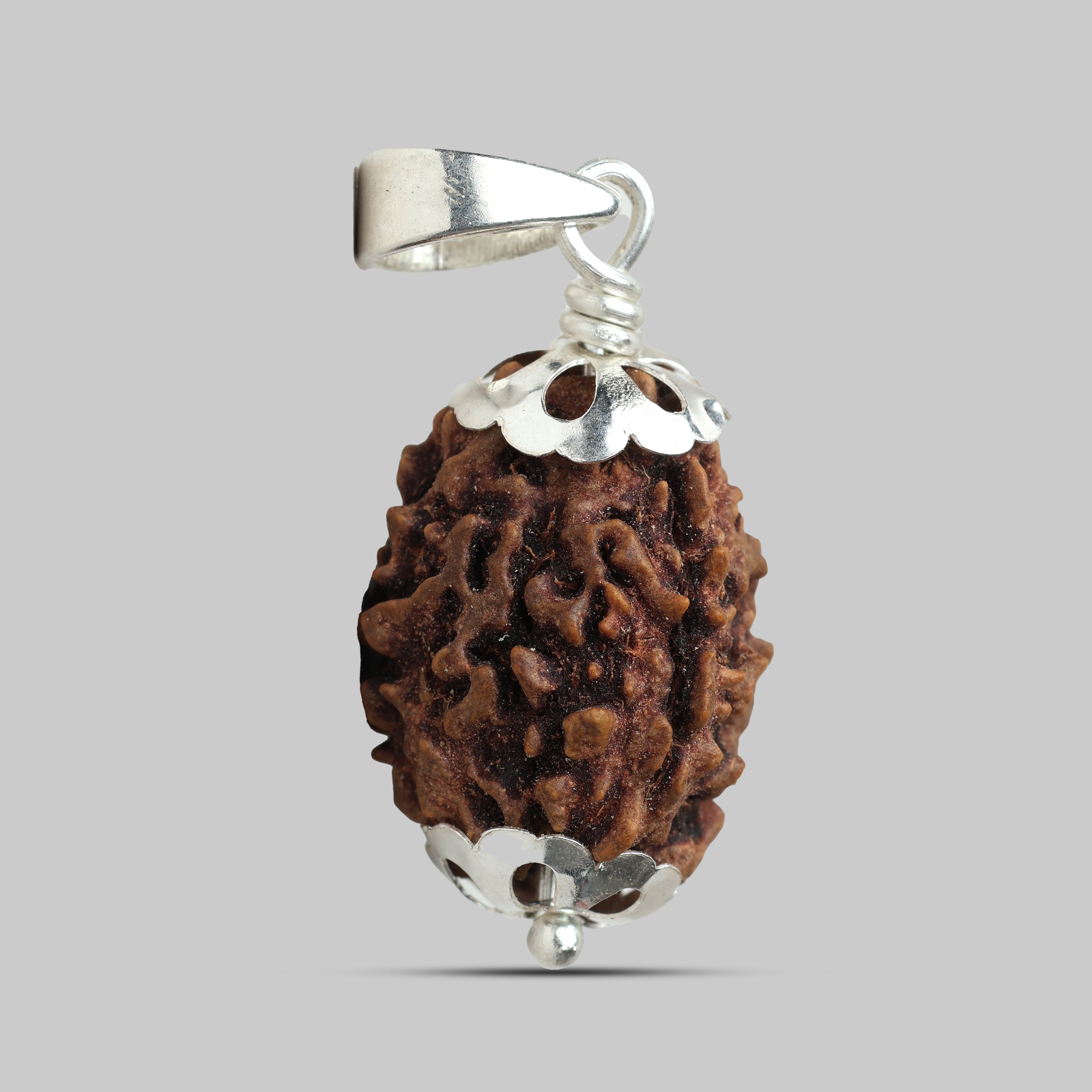3 Mukhi Rudraksha