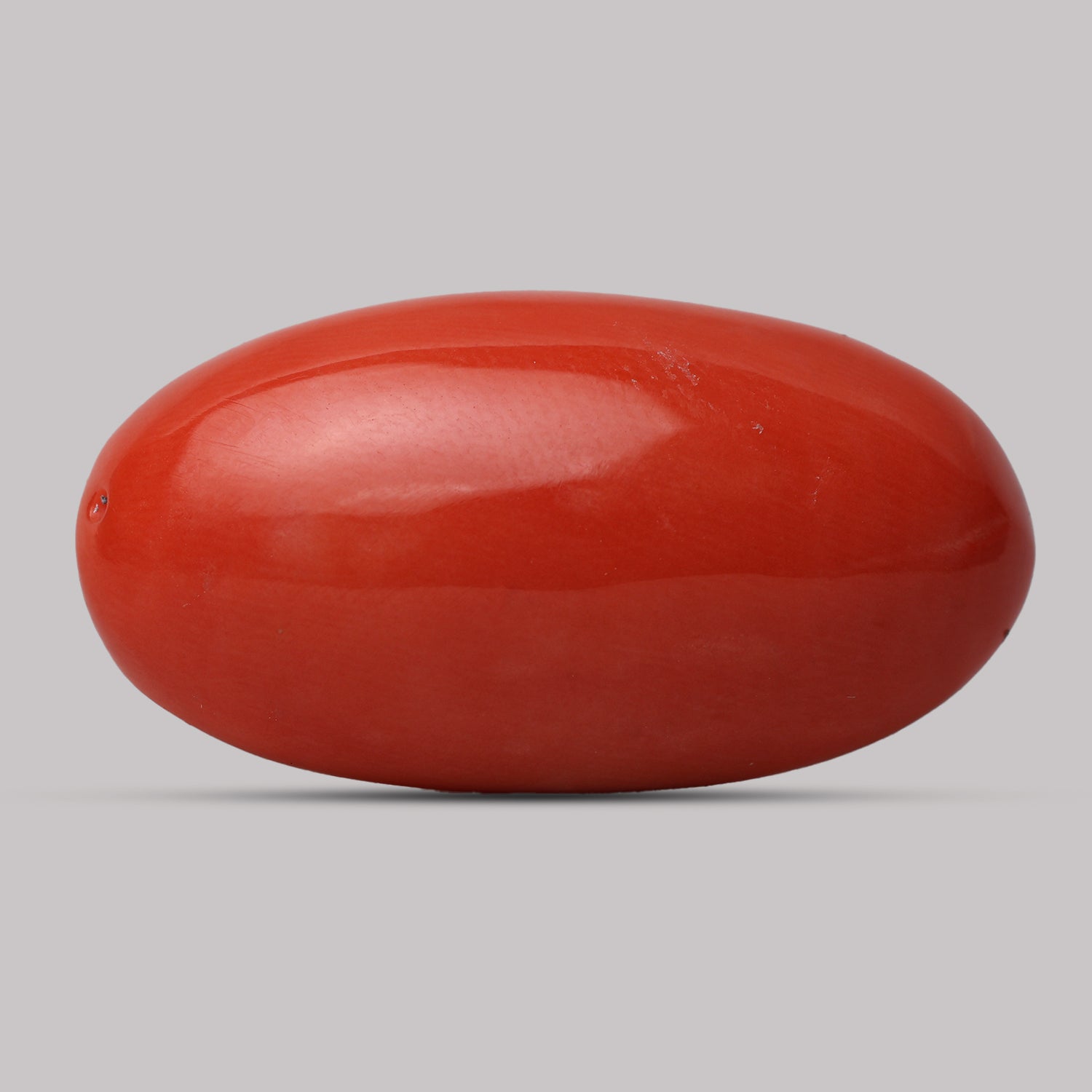 Red Coral - 16.55 Carat