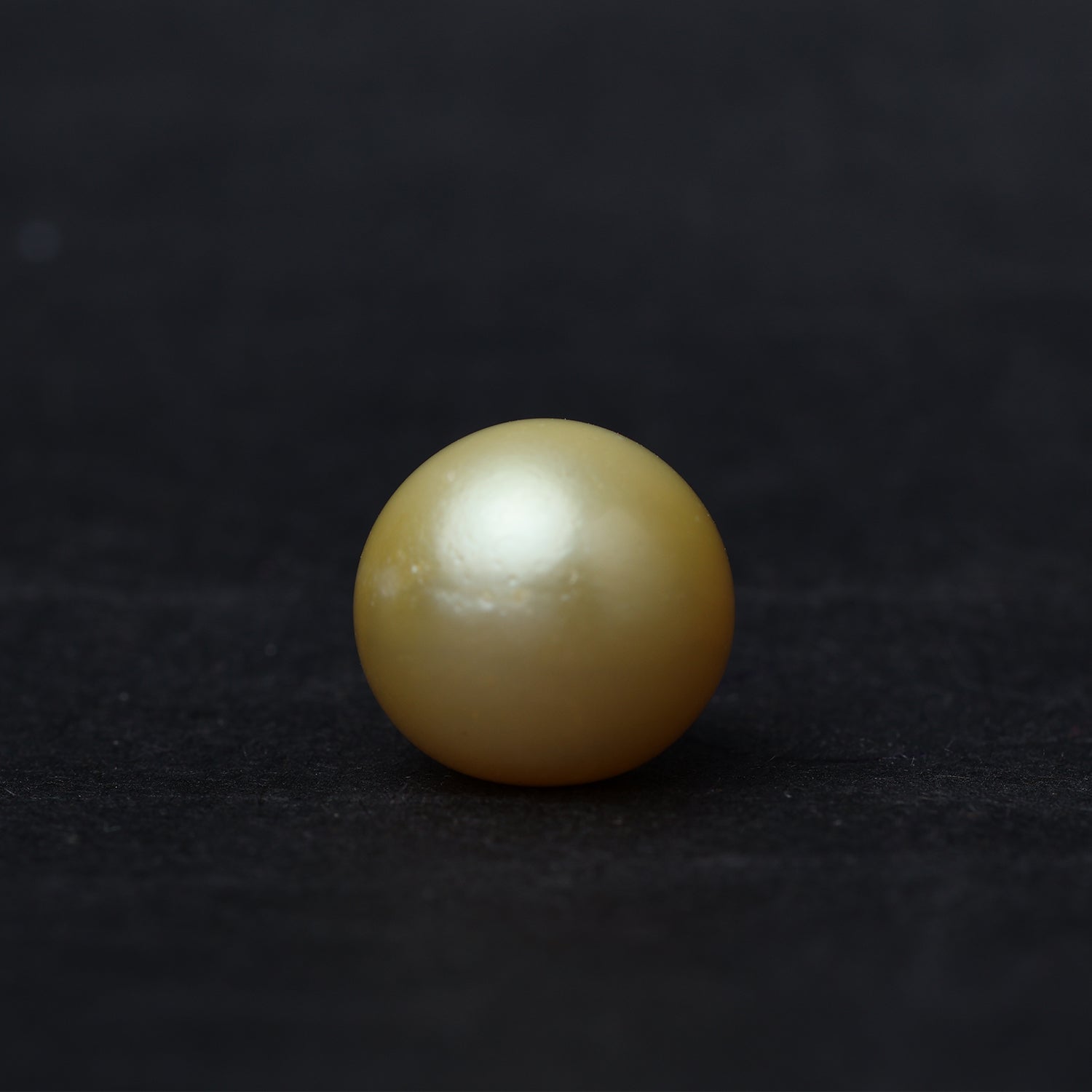 South Sea Pearl - 12.89 Carat