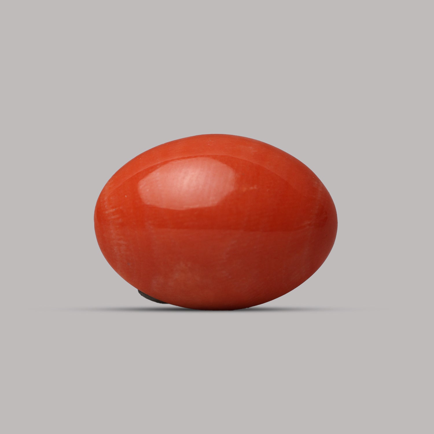 Red Coral - 11.58 Carat