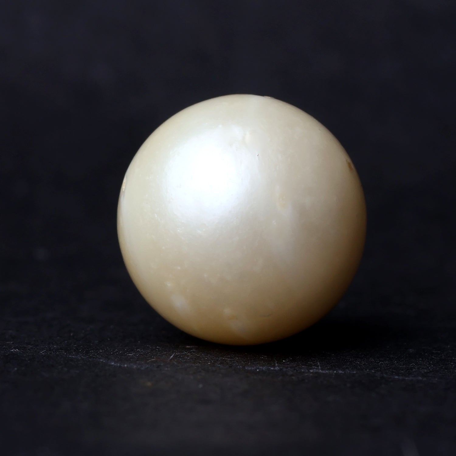 South Sea Pearl - 10.44 Carat