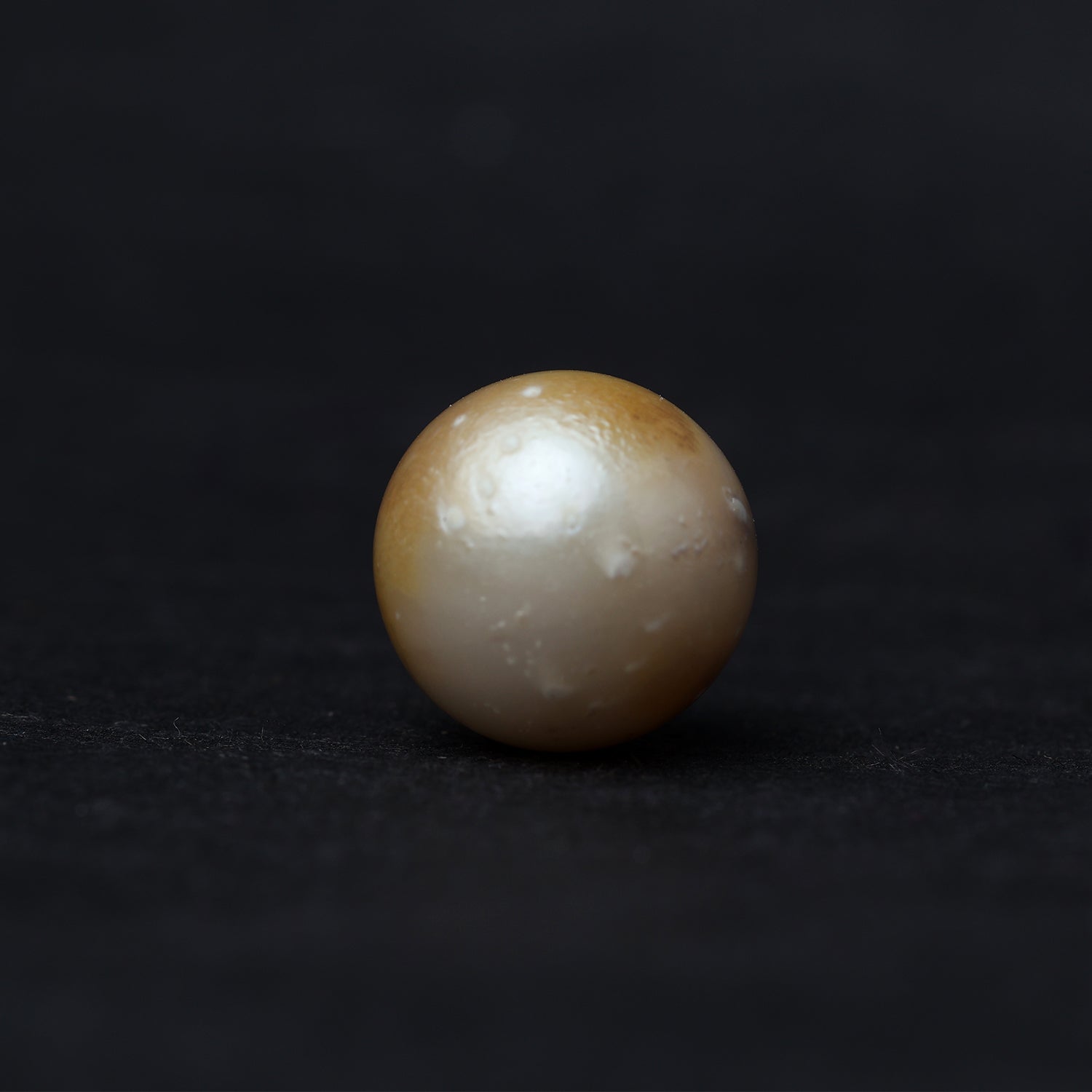 South Sea Pearl - 13.81 Carat