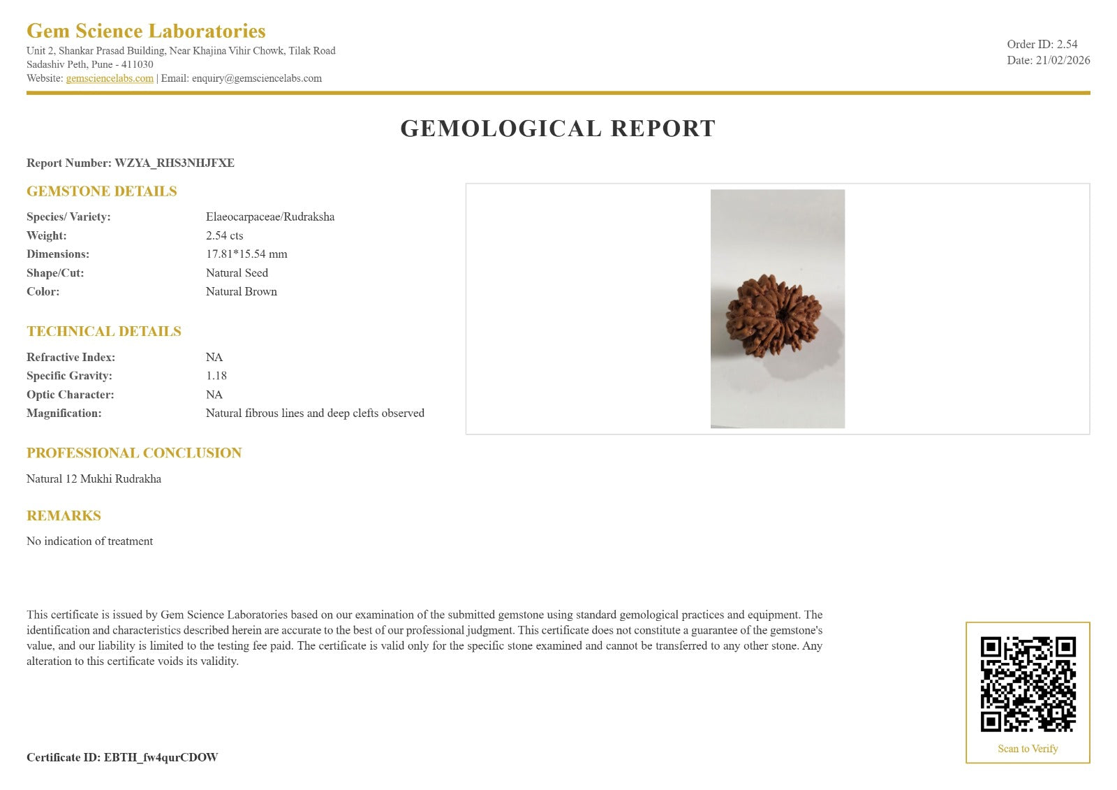 12 Mukhi Rudraksha