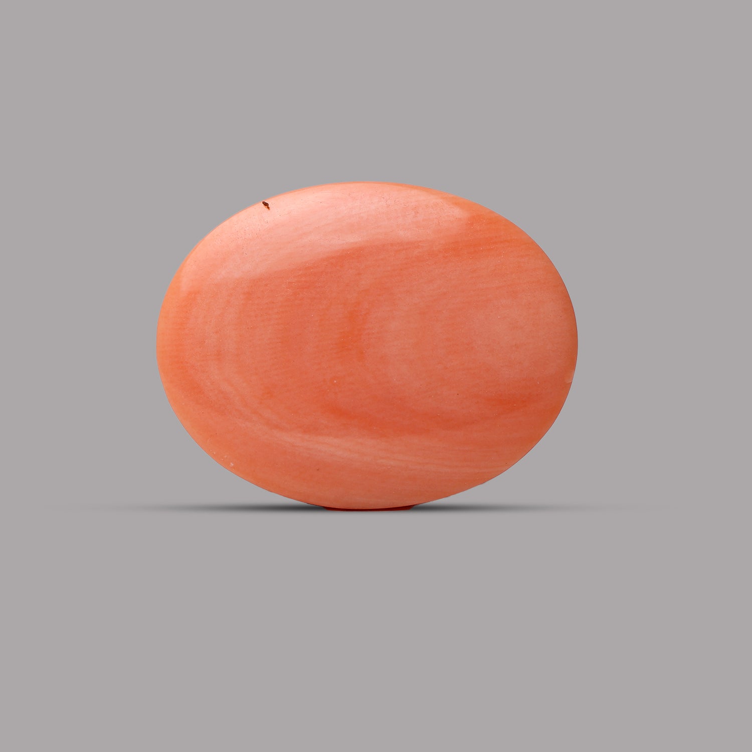 Red Coral - 12.63 Carat