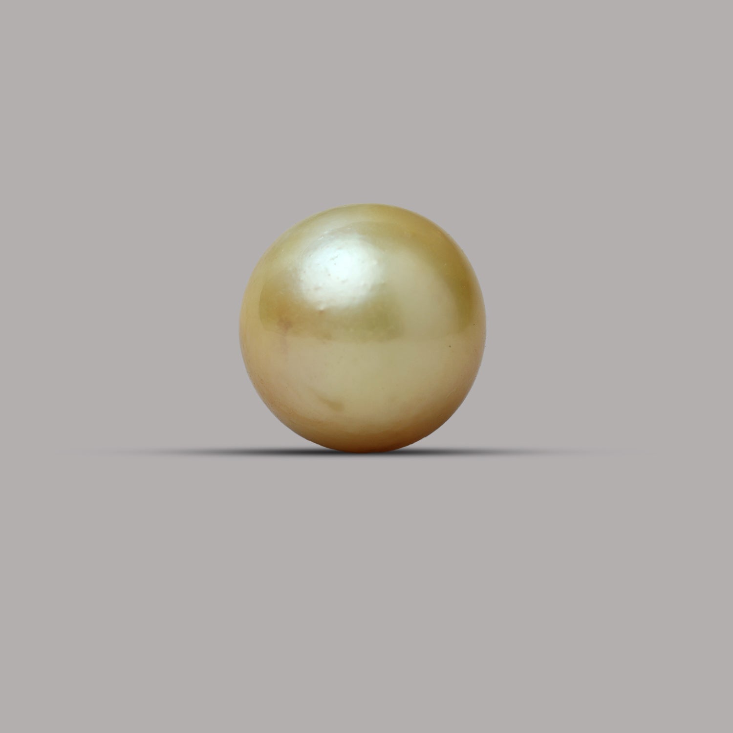 South Sea Pearl - 7.29 Carat