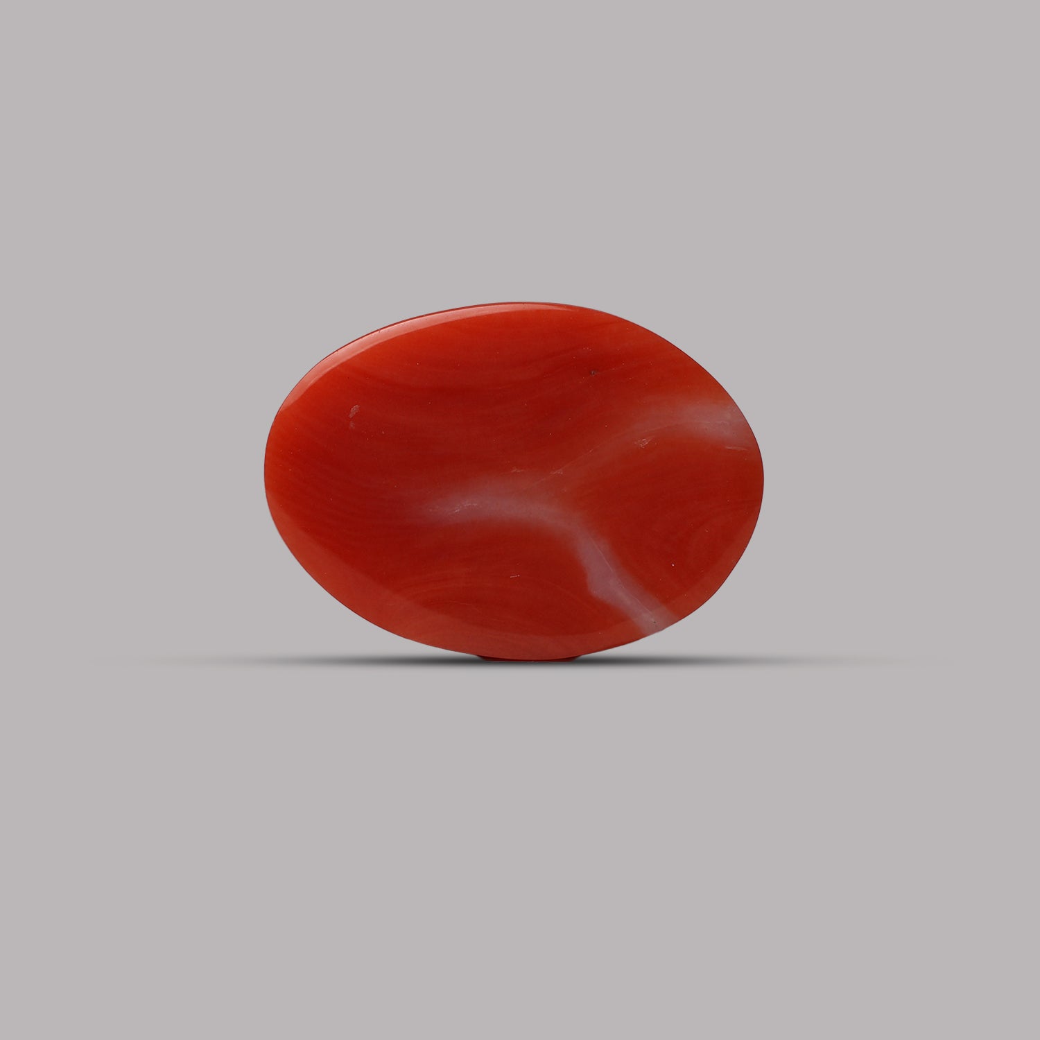 Red Coral - 6.20 Carat