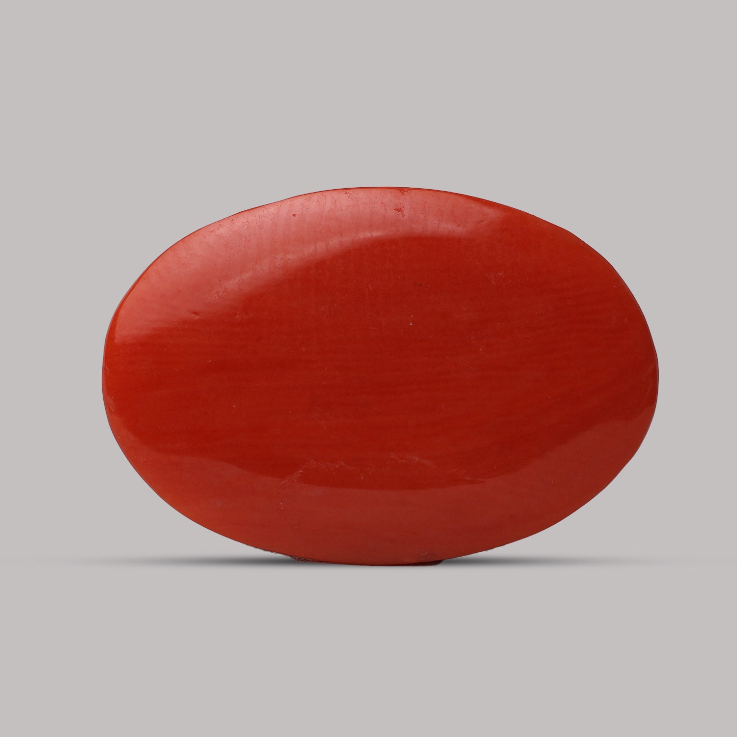 Red Coral - 11.70 Carat