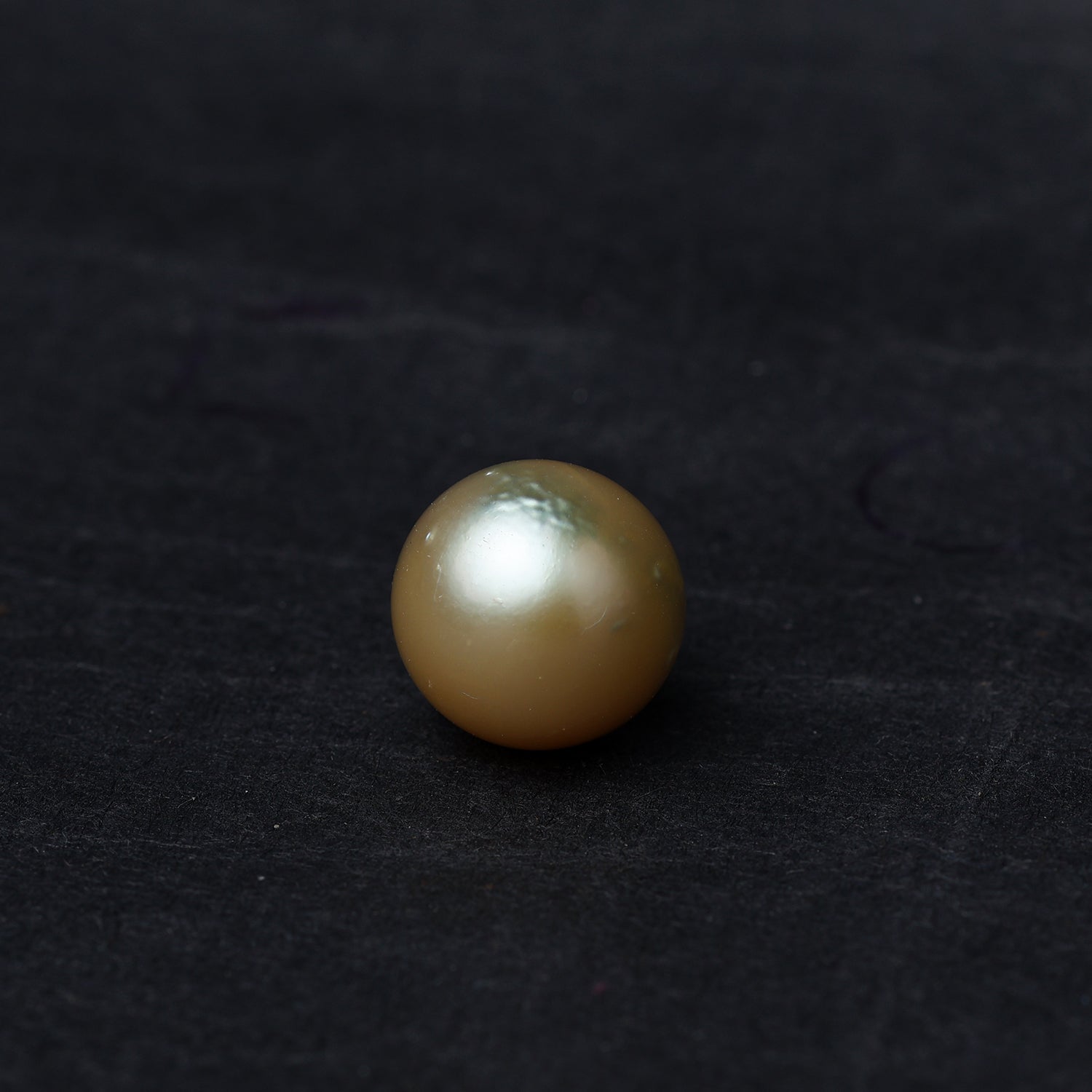 South Sea Pearl - 13.64 Carat