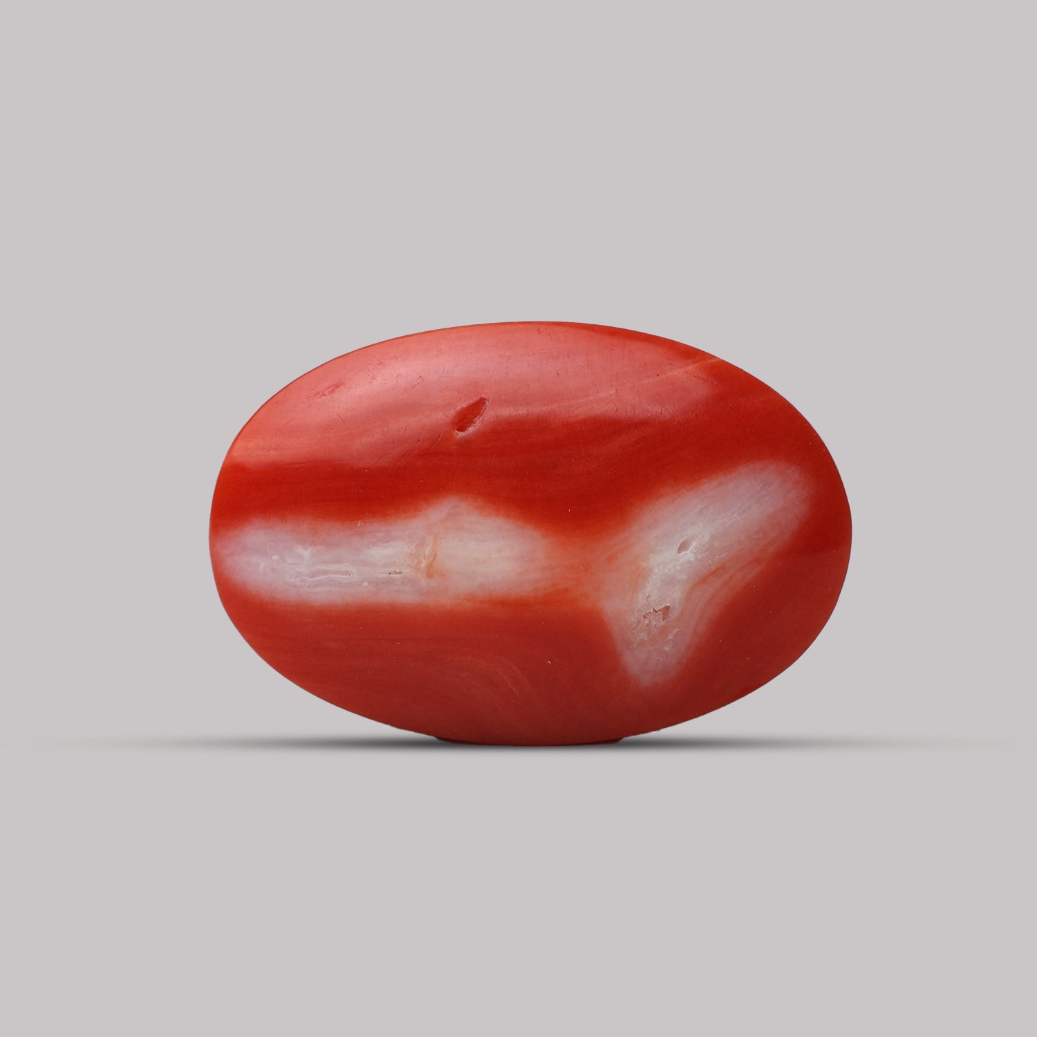Red Coral - 6.68 Carat
