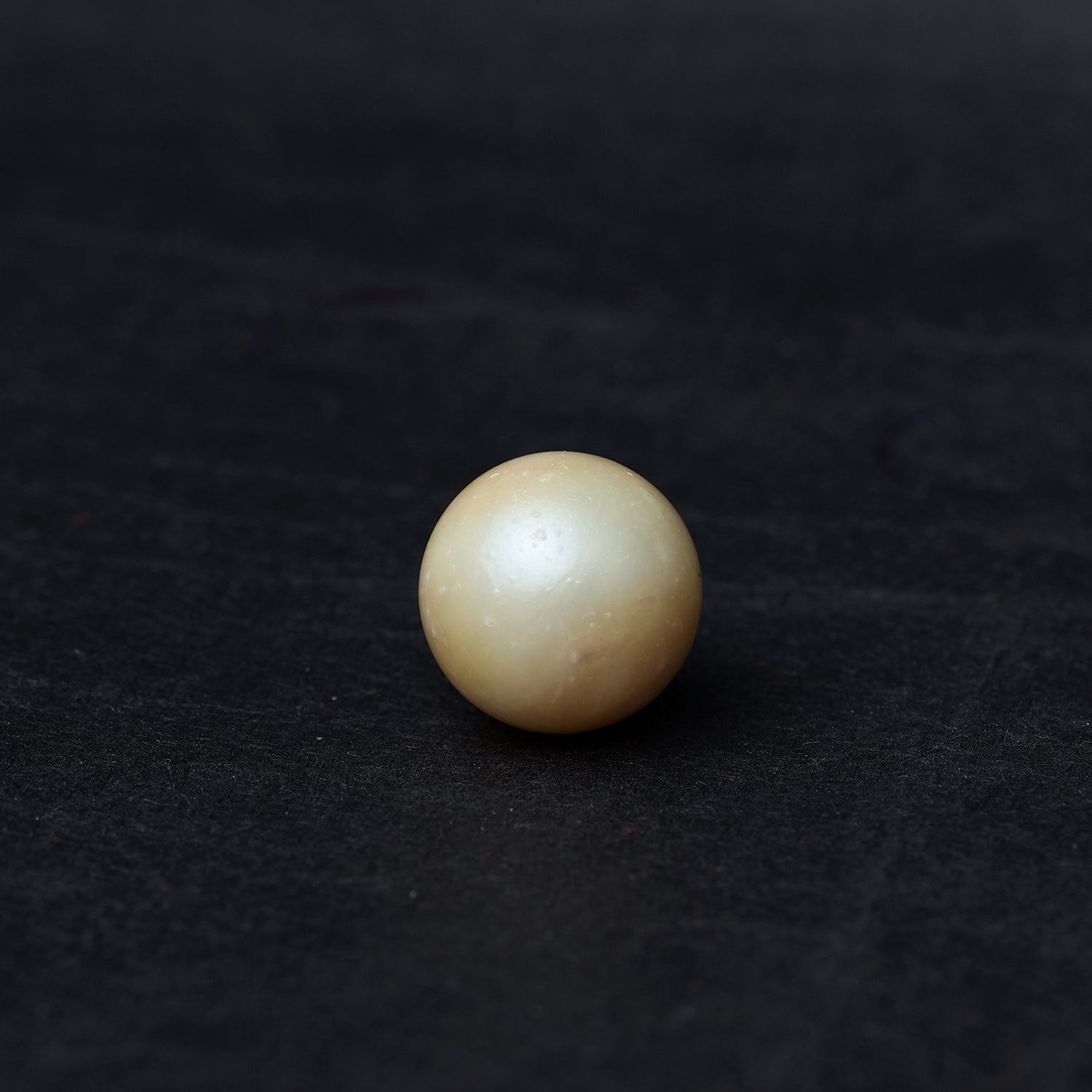 South Sea Pearl - 15.49 Carat