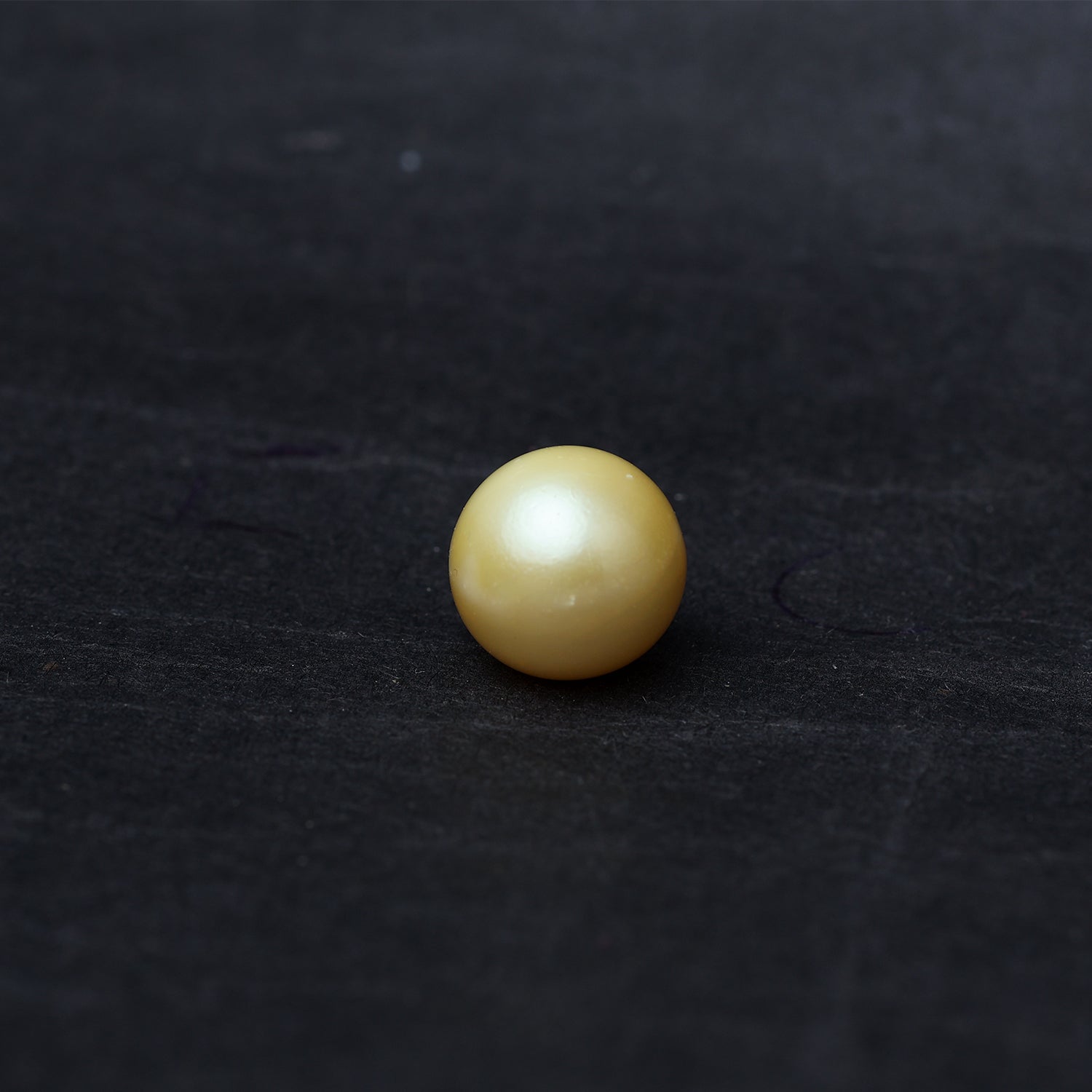 South Sea Pearl - 12.89 Carat