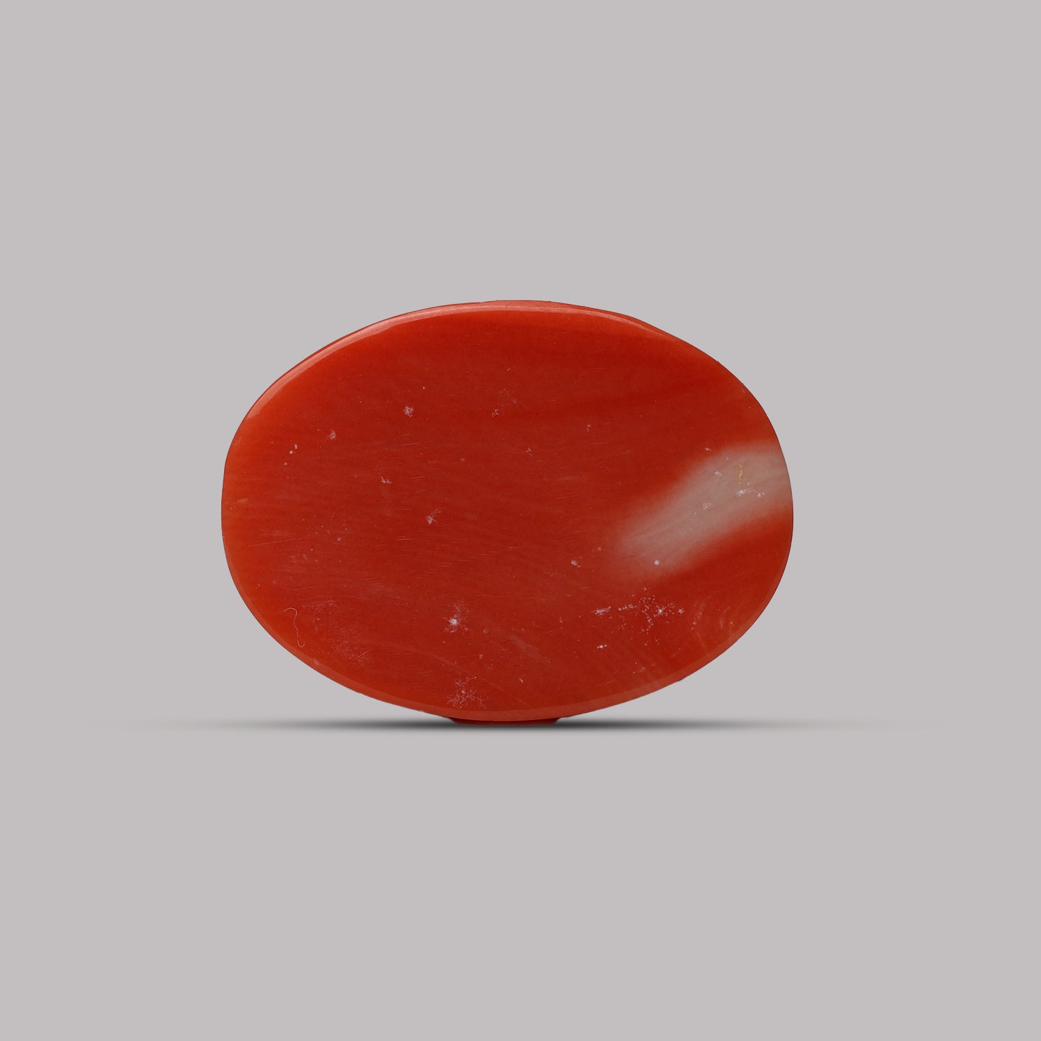 Red Coral - 9.15 Carat