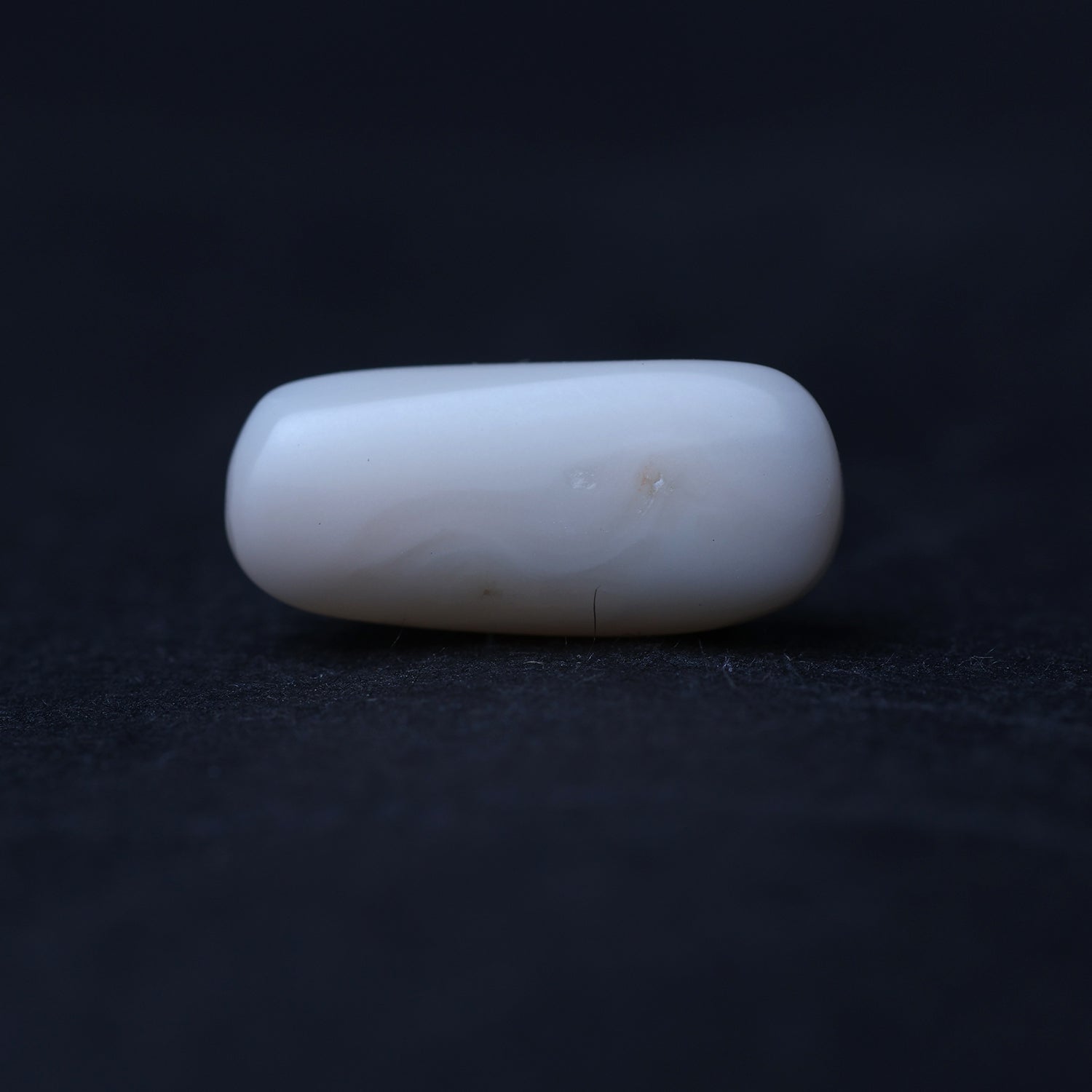 White Coral - 7.54 Carat