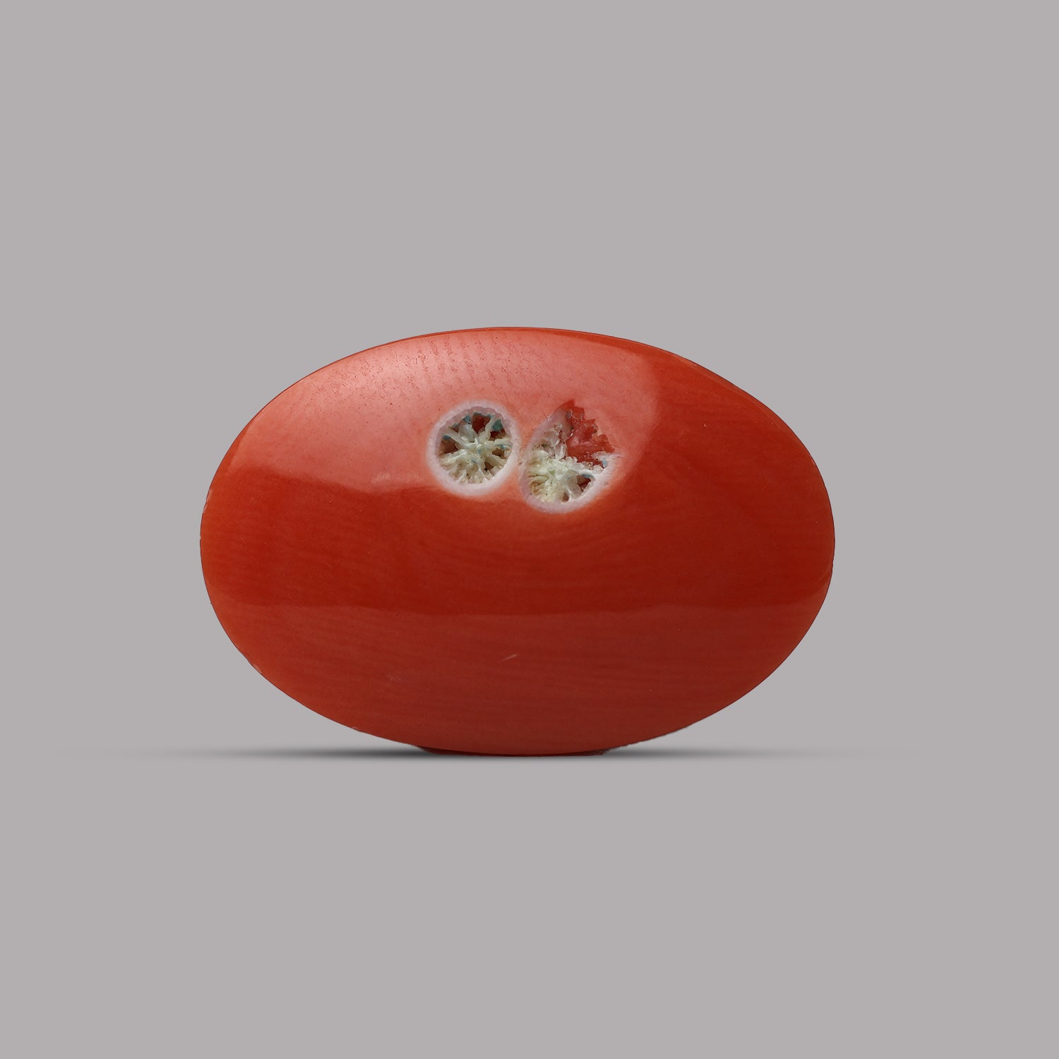 Red Coral - 12.41 Carat