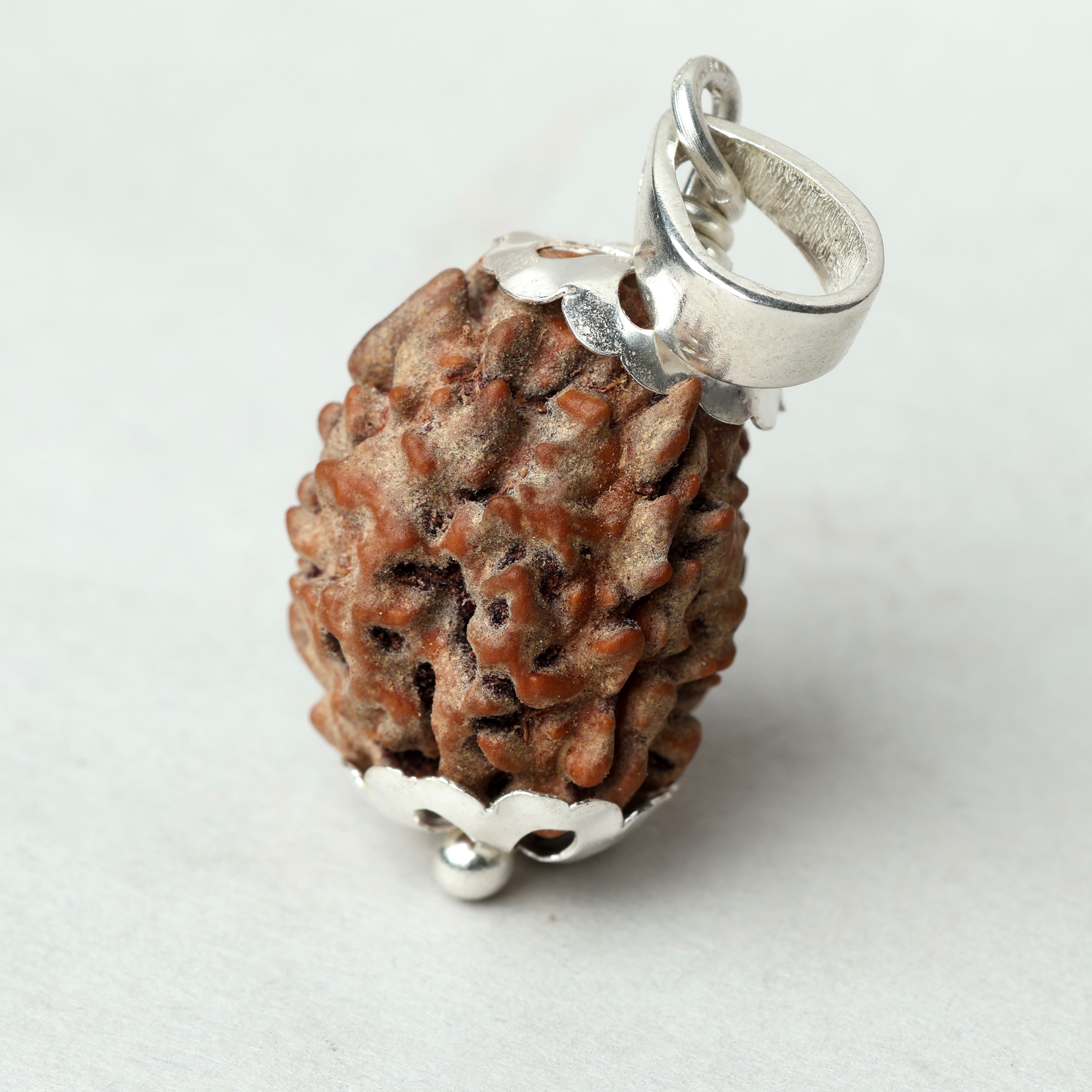 3 Mukhi Rudraksha
