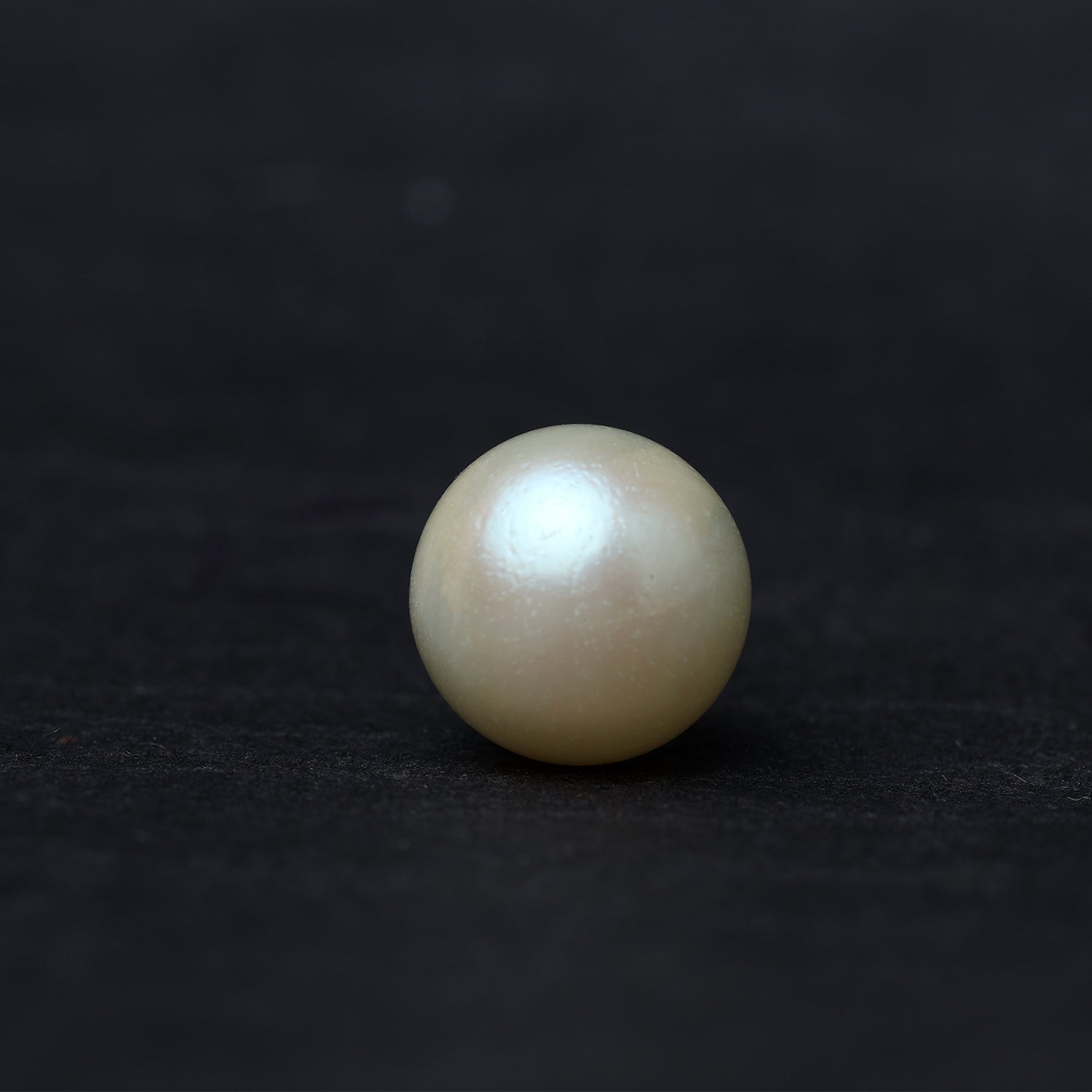 South Sea Pearl - 11.18 Carat