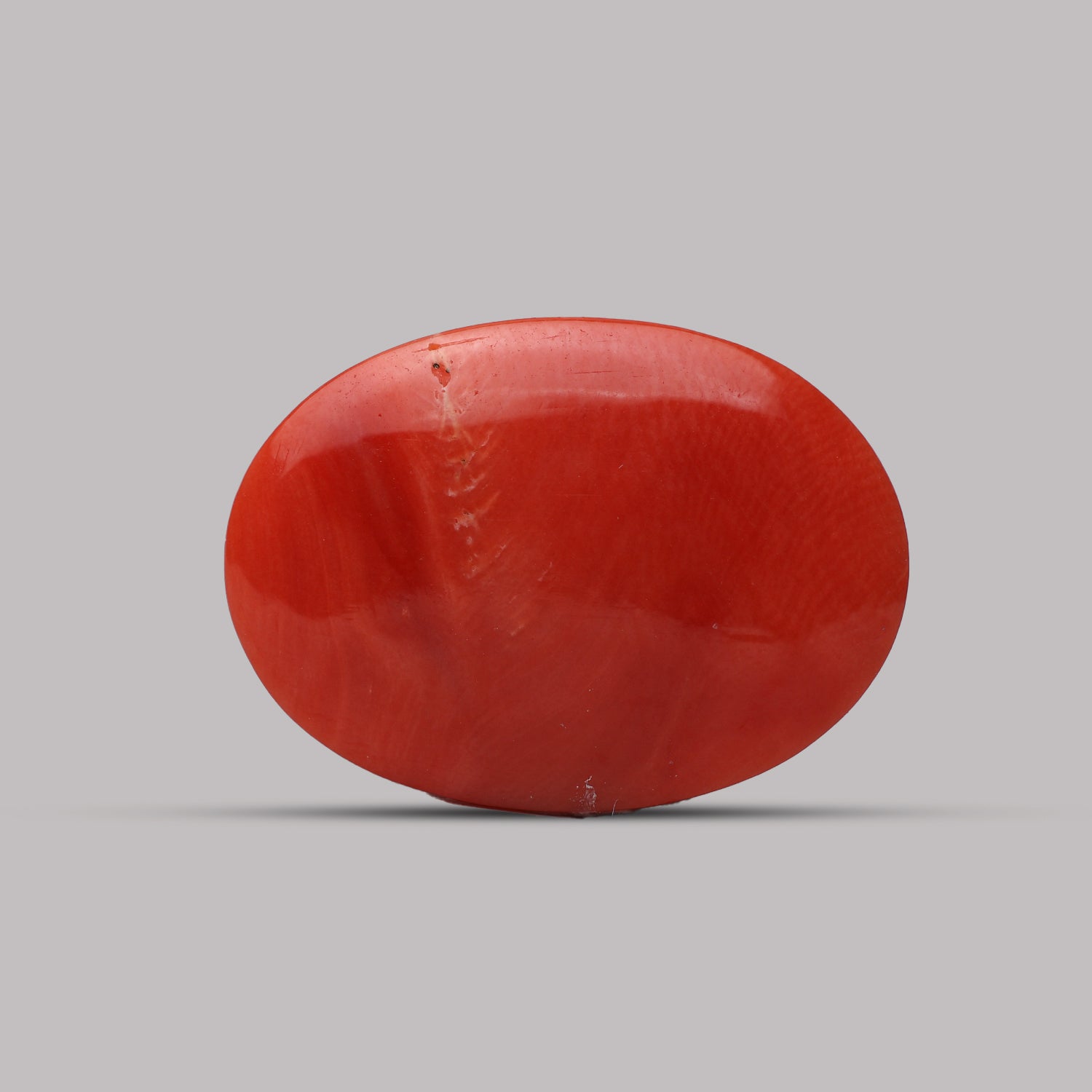 Red Coral - 8.80 Carat
