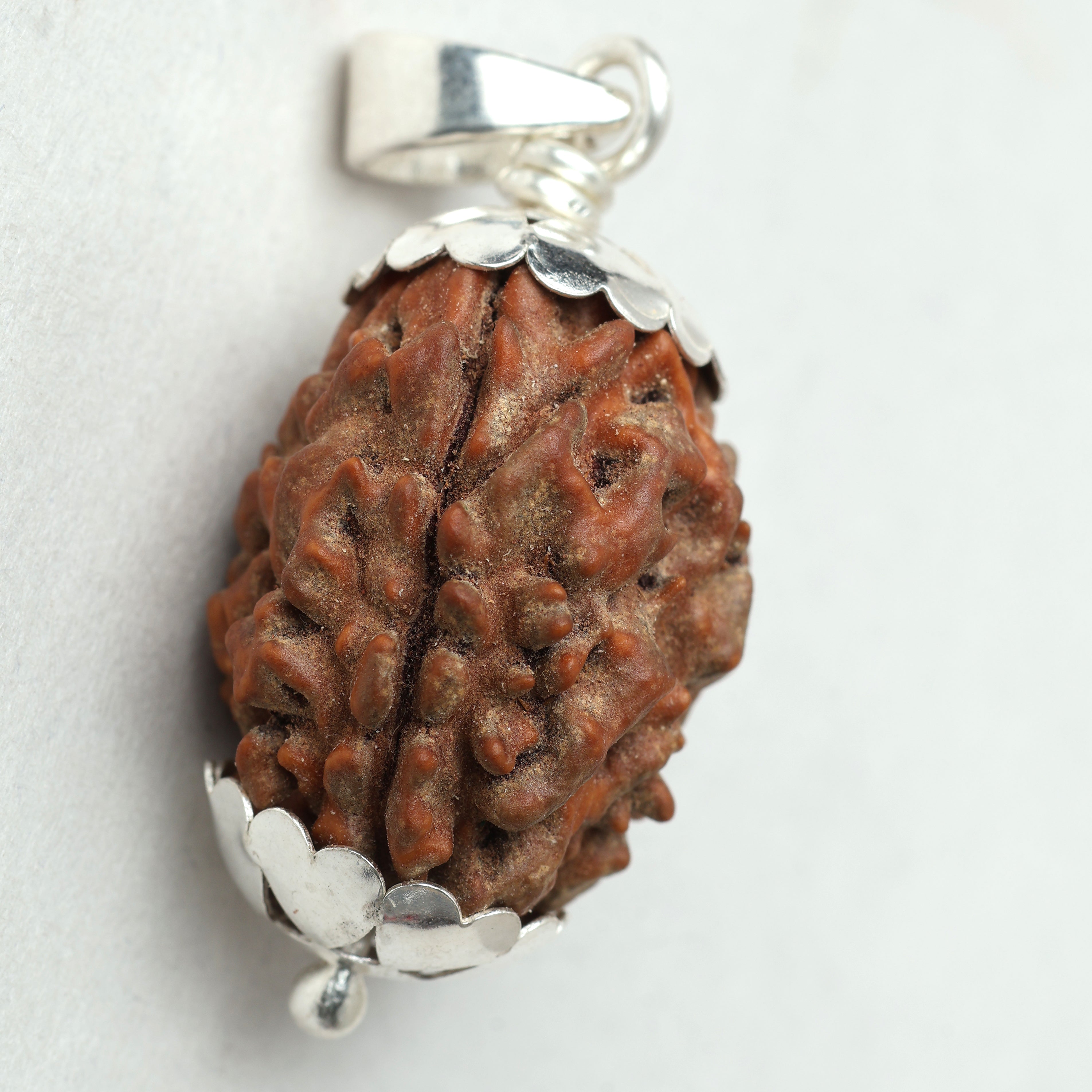 3 Mukhi Rudraksha