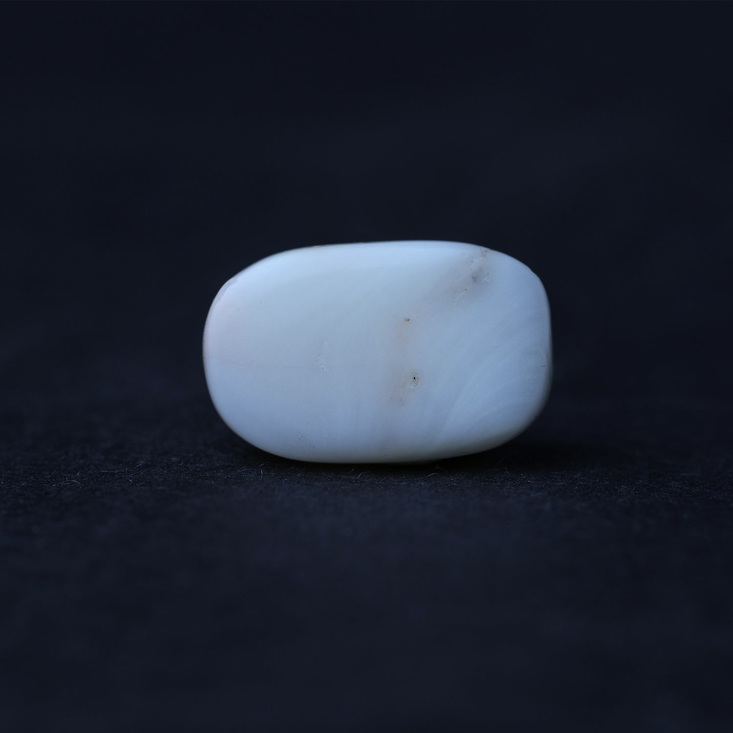 White Coral - 7.08 Carat