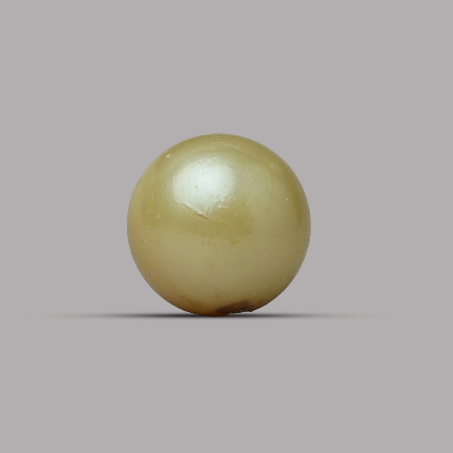 South Sea Pearl - 12.25 Carat