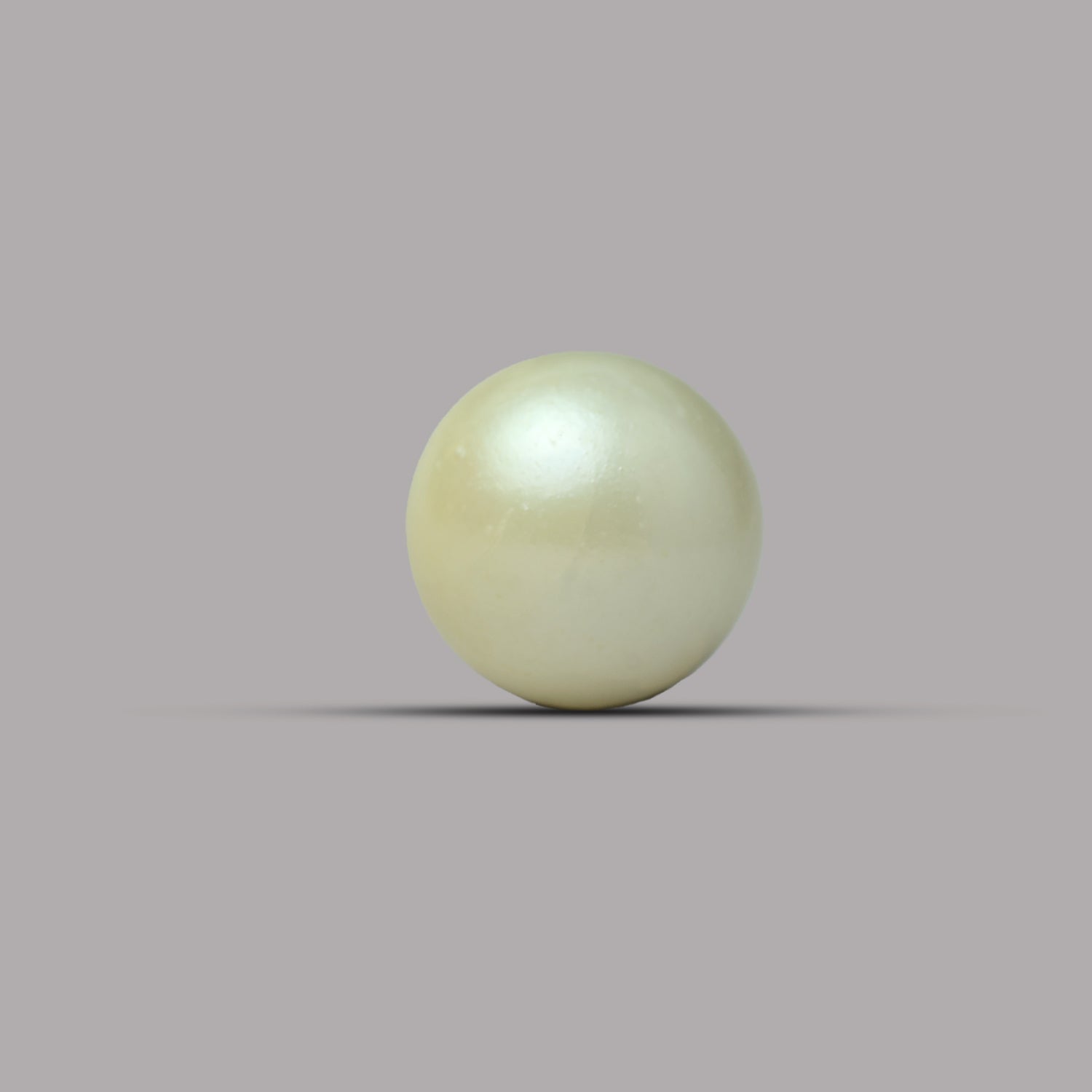 South Sea Pearl - 7.26 Carat
