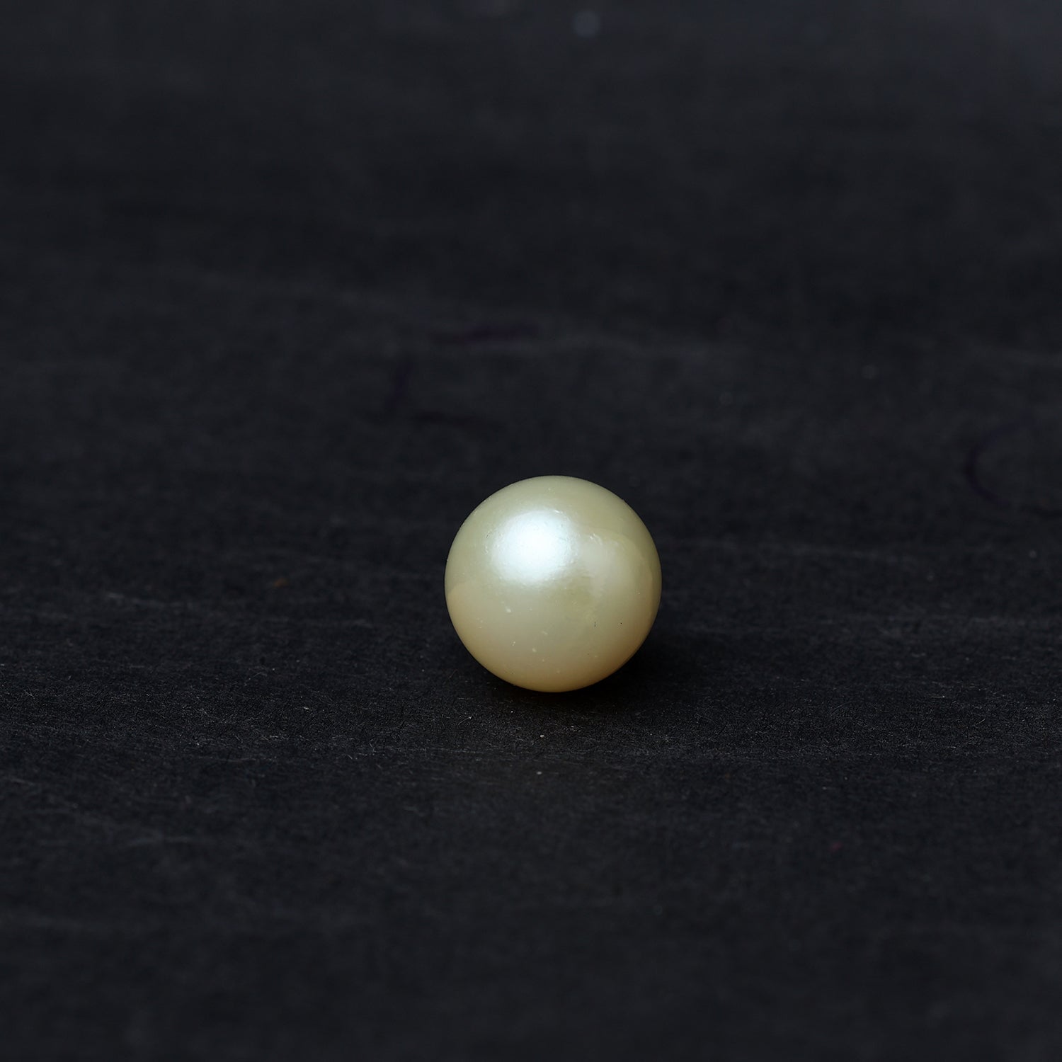 South Sea Pearl - 10.15 Carat
