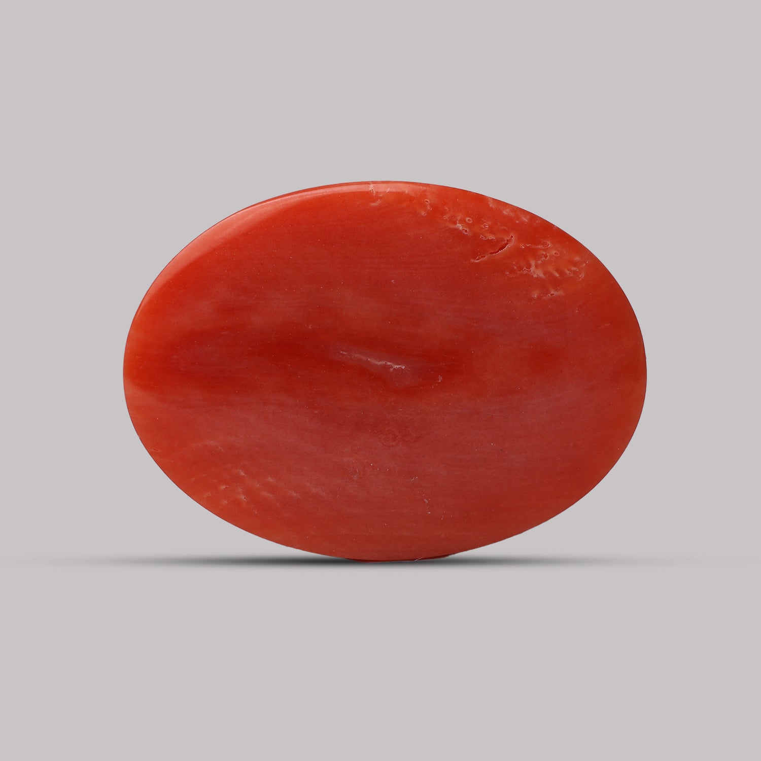 Red Coral - 10.47 Carat
