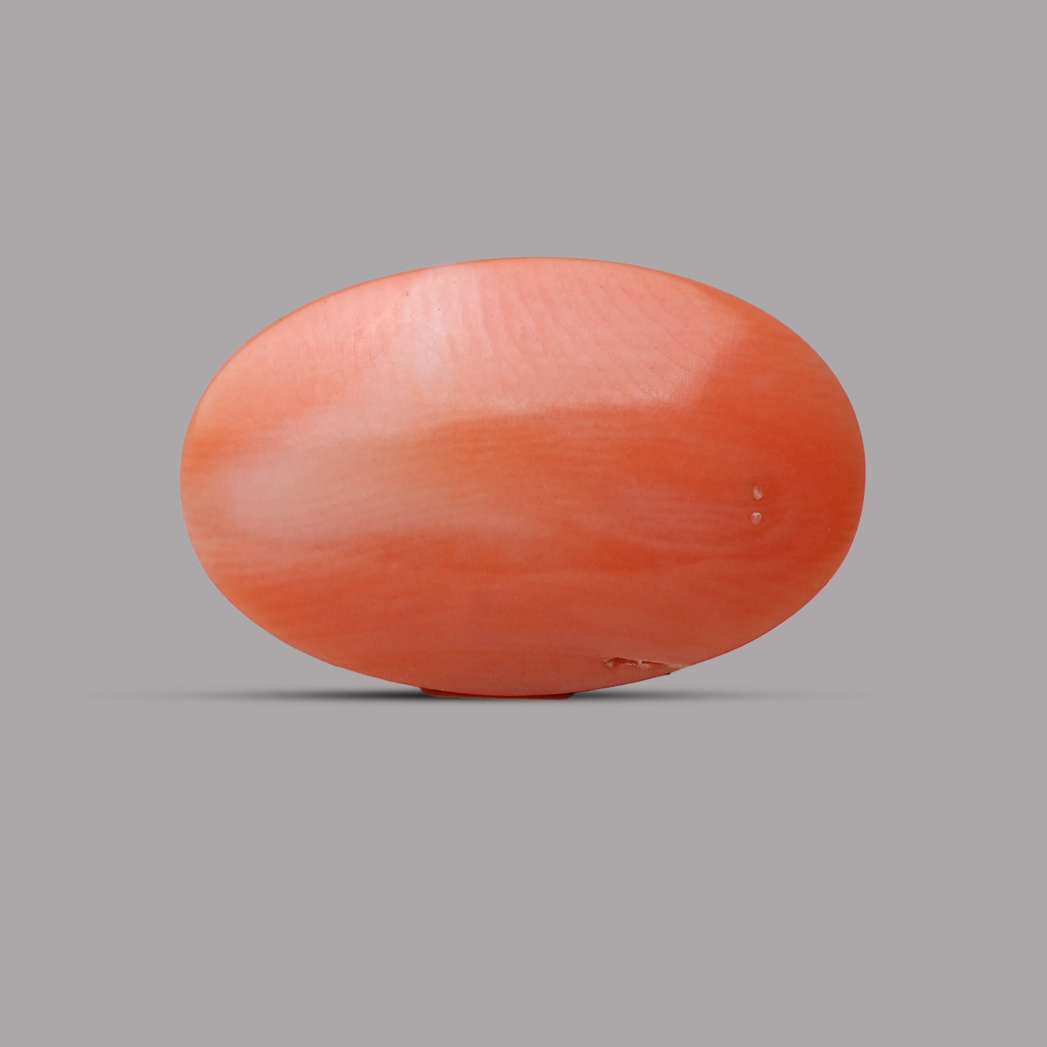 Red Coral - 8.34 Carat