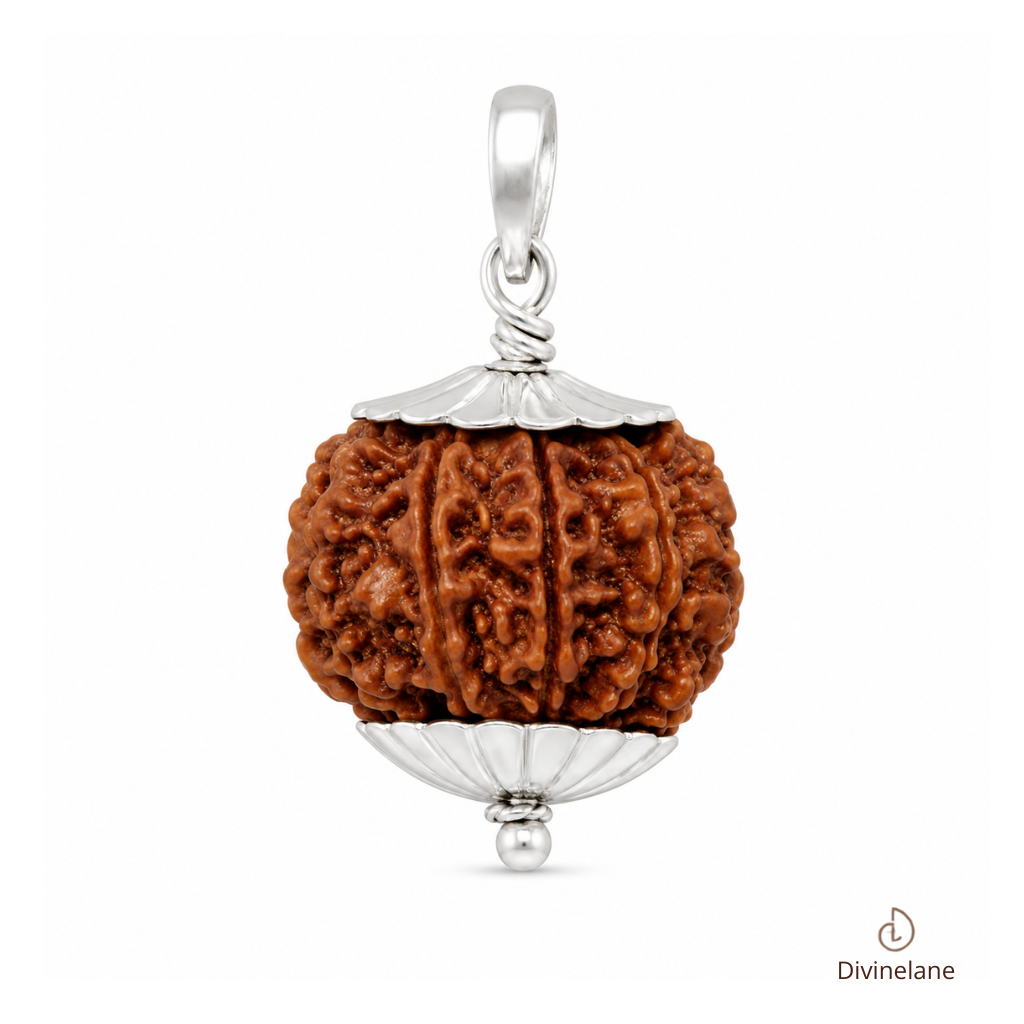 11 Mukhi Rudraksha (Nepali)
