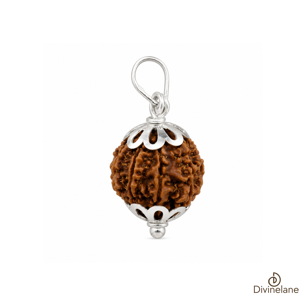 8 mukhi Rudraksha (Nepali)