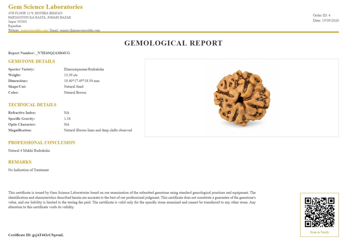 4 Mukhi Rudraksha (Nepali)