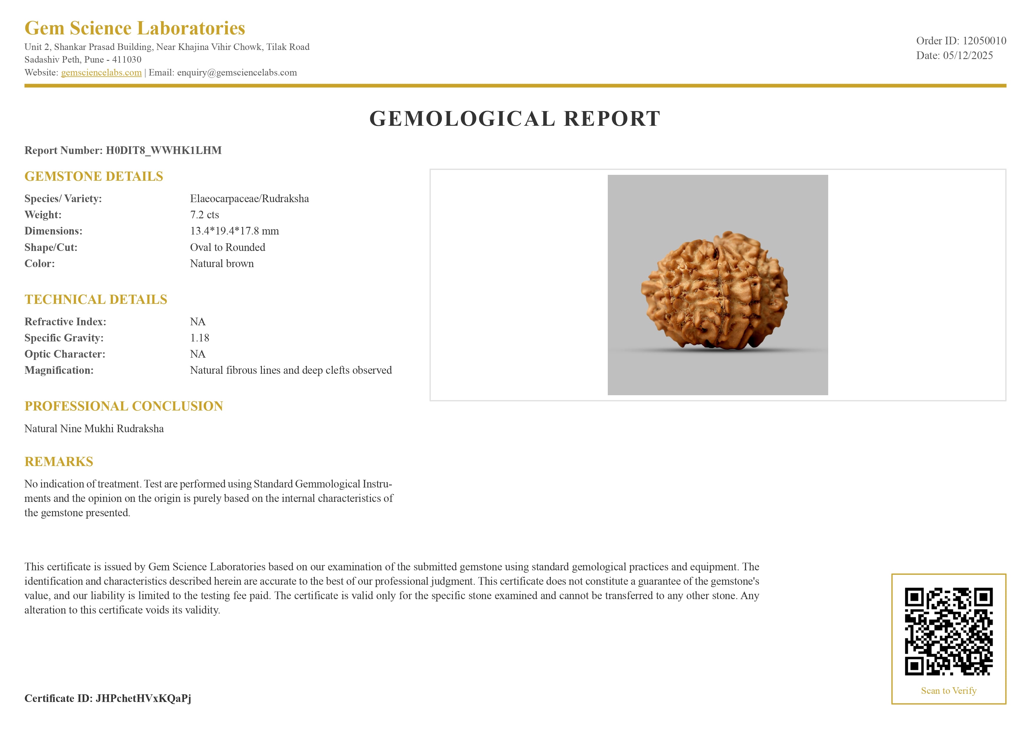 9 Mukhi Rudraksha