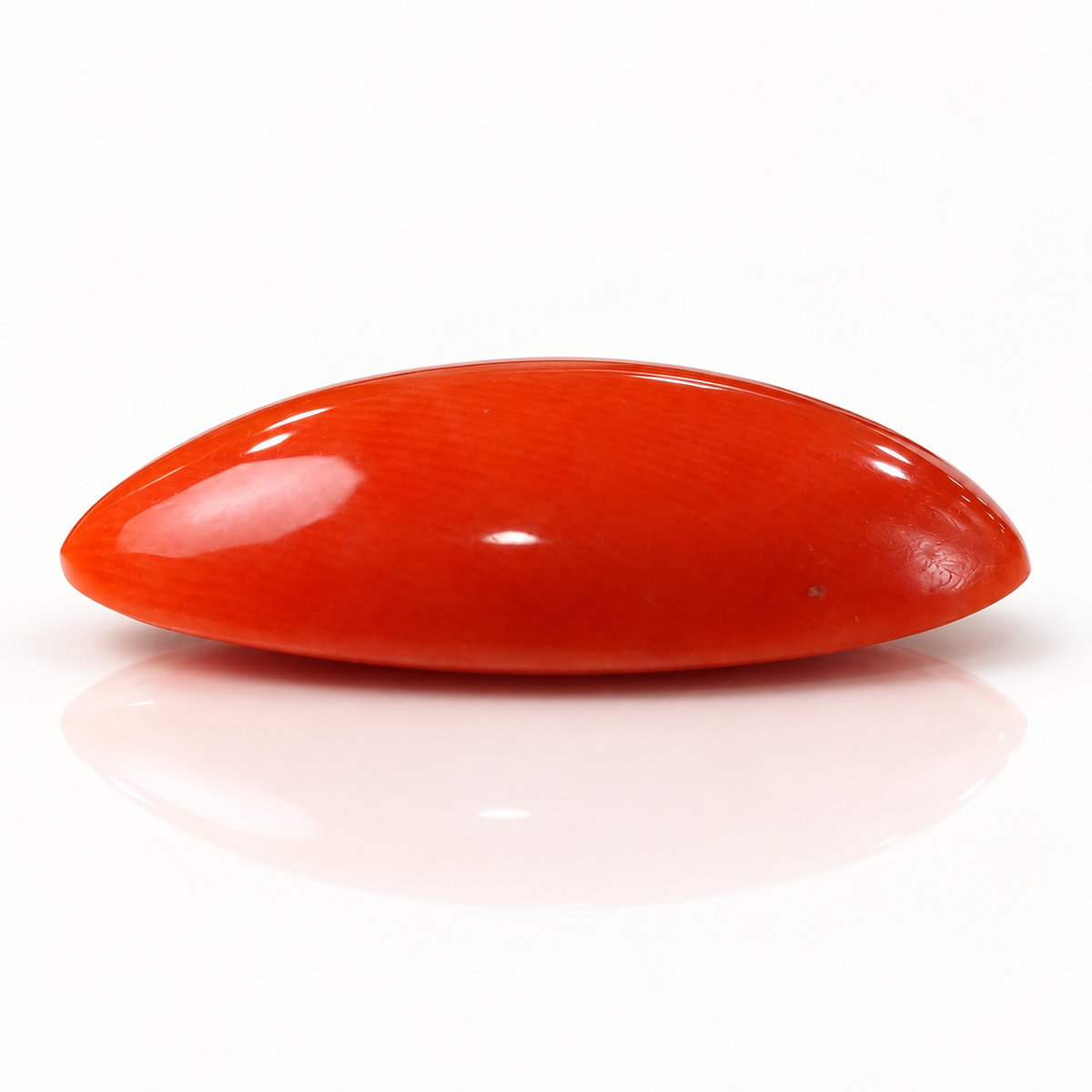 NATURAL JAPAN RED CORAL 10.95 ct (Premium)