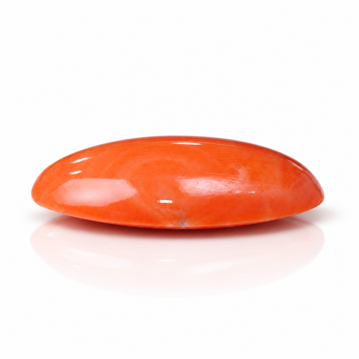 sheet:p_24_2026_05_40_56_PM_1.png?v=1790667387