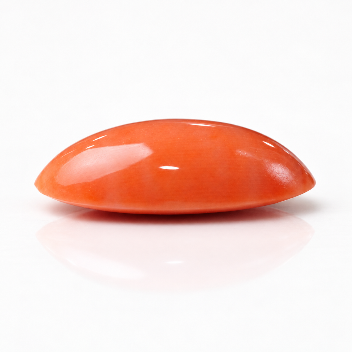 sheet:p_24_2026_06_28_41_PM-1.png?v=1790667652